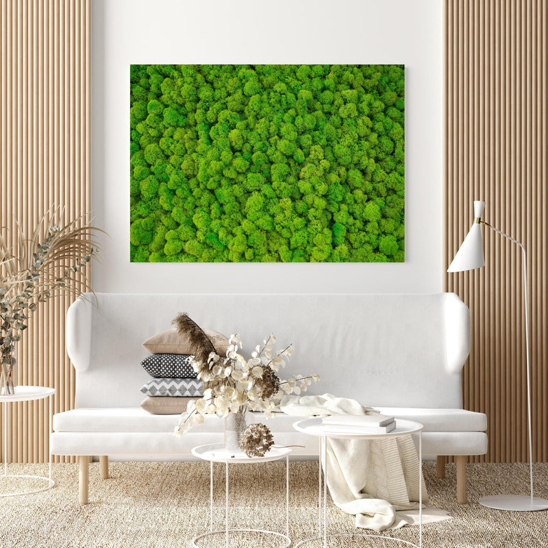Wandbild - dekoratives Moos Design in extravagant gestaltetem Raum mit minimalistischer Couch-quadratisch