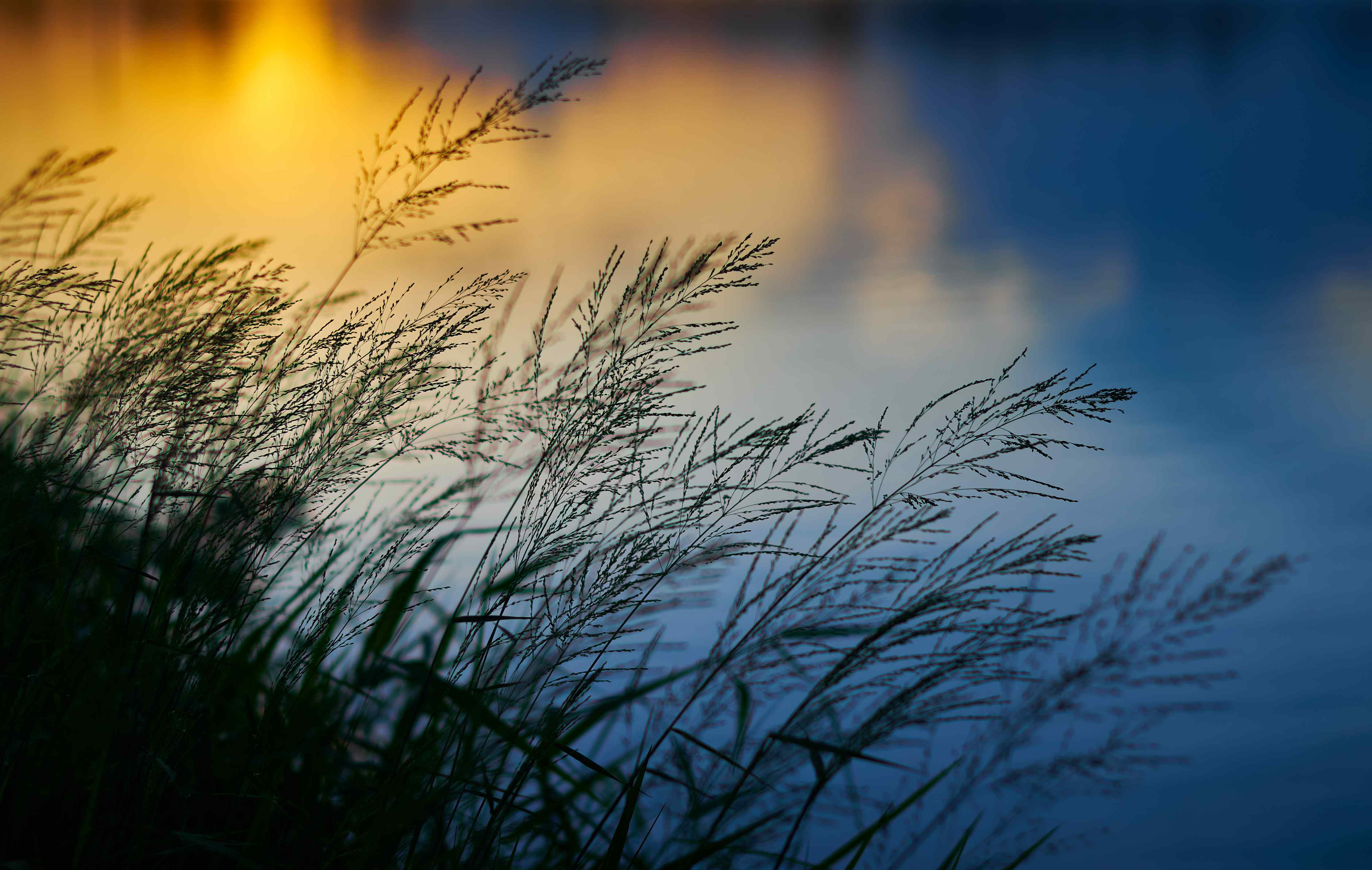 Wandverkleidung Bad-Abendstimmung am Wasser mit Gras im Vordergrund