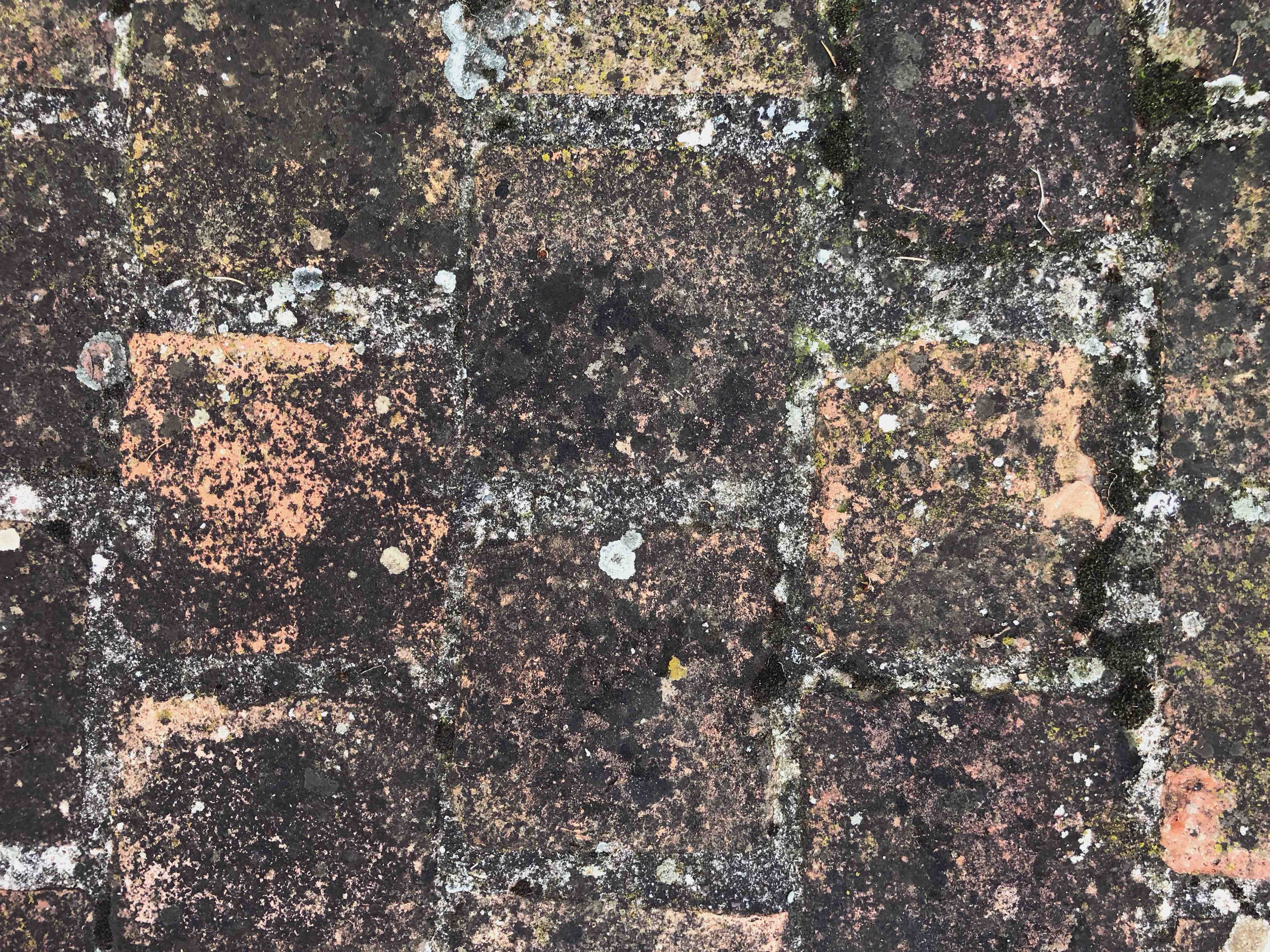 Wandverkleidung Bad-Alte Steinmauer mit Moos