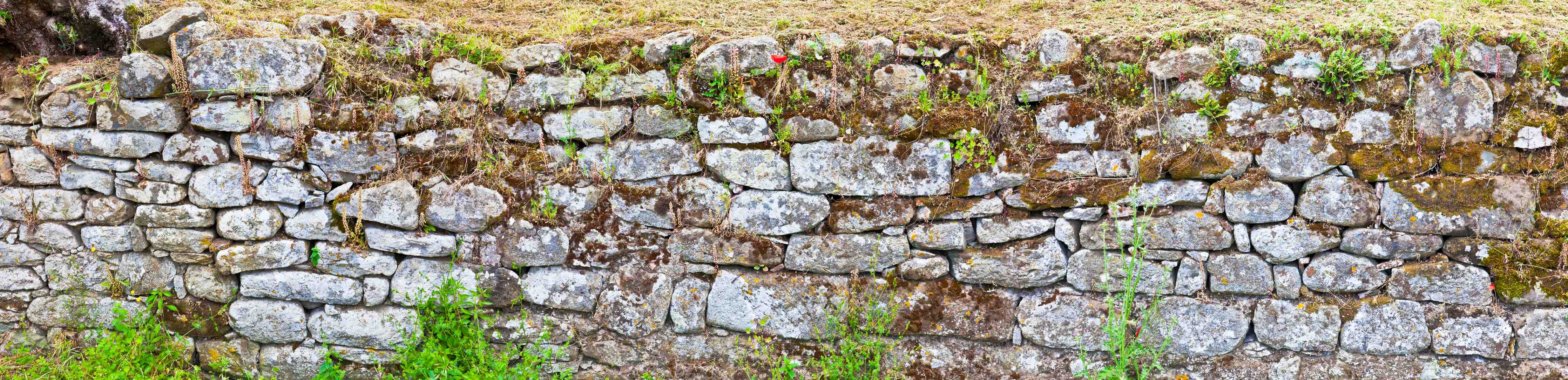 Wandverkleidung Bad-Alte Steinmauer mit moosbedecktem Rand