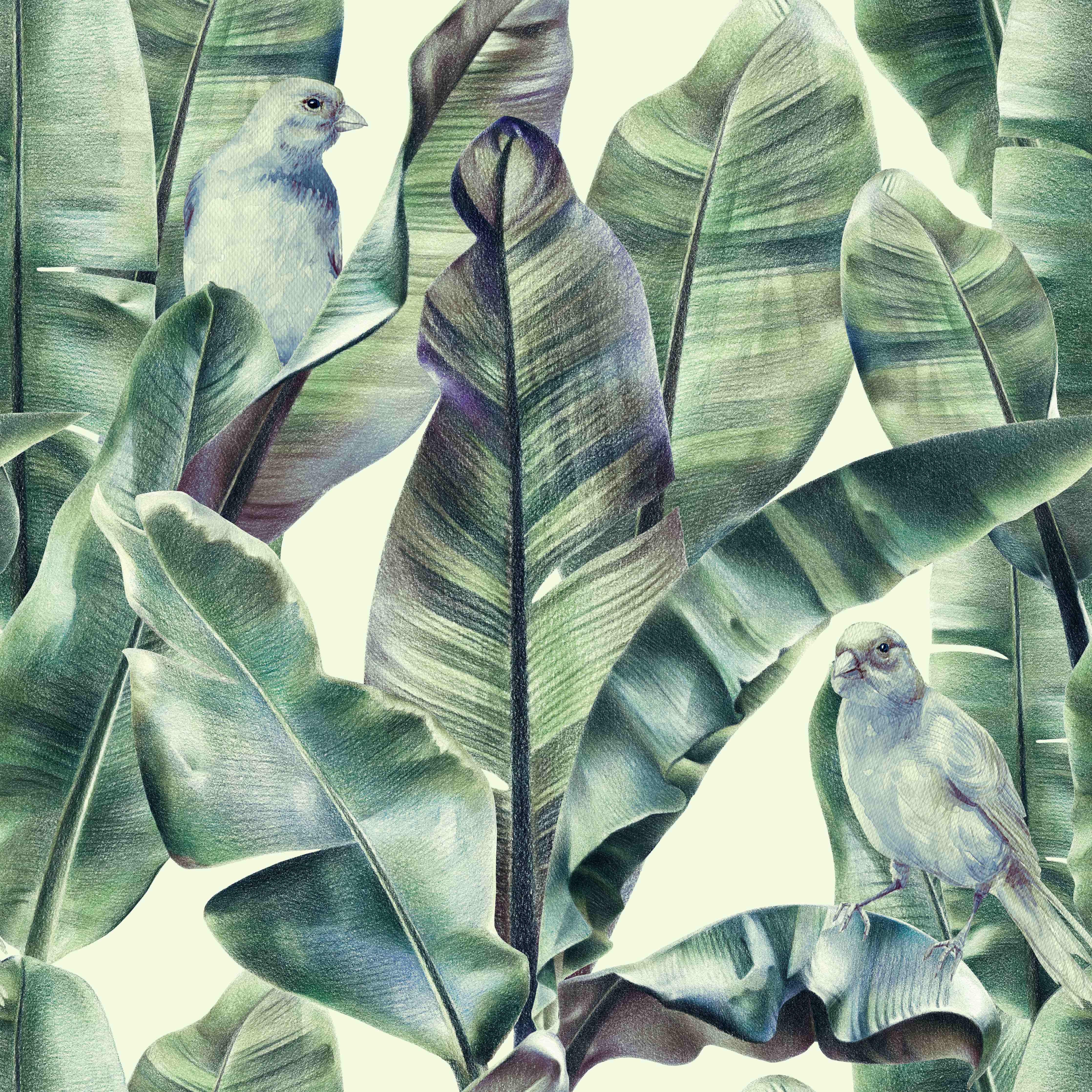 Wandverkleidung Bad-Aquarell - exotischen Vögel auf Bananenblättern