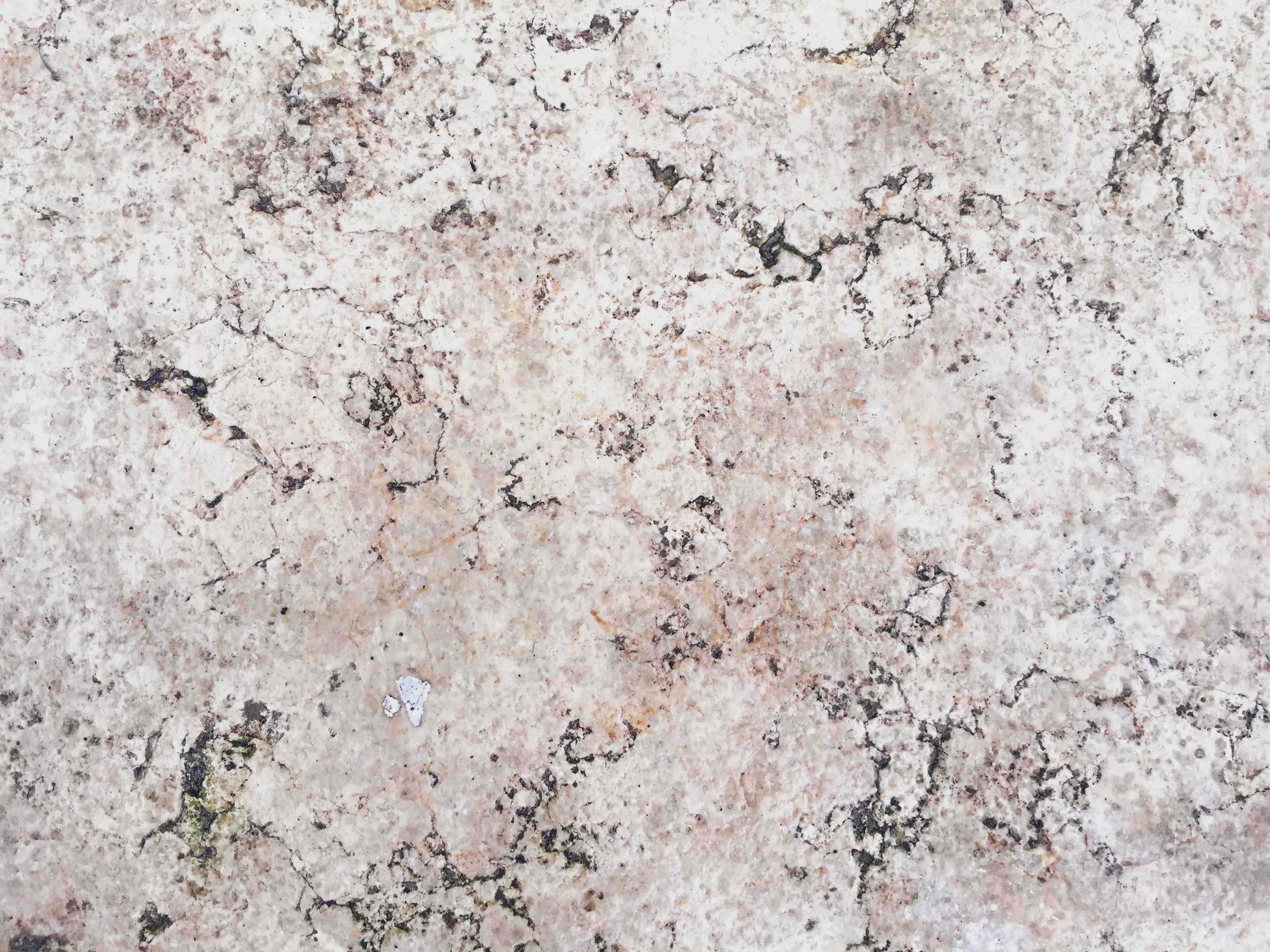 Wandverkleidung Bad-Beige Marmor-Textur mit schwarzen Adern