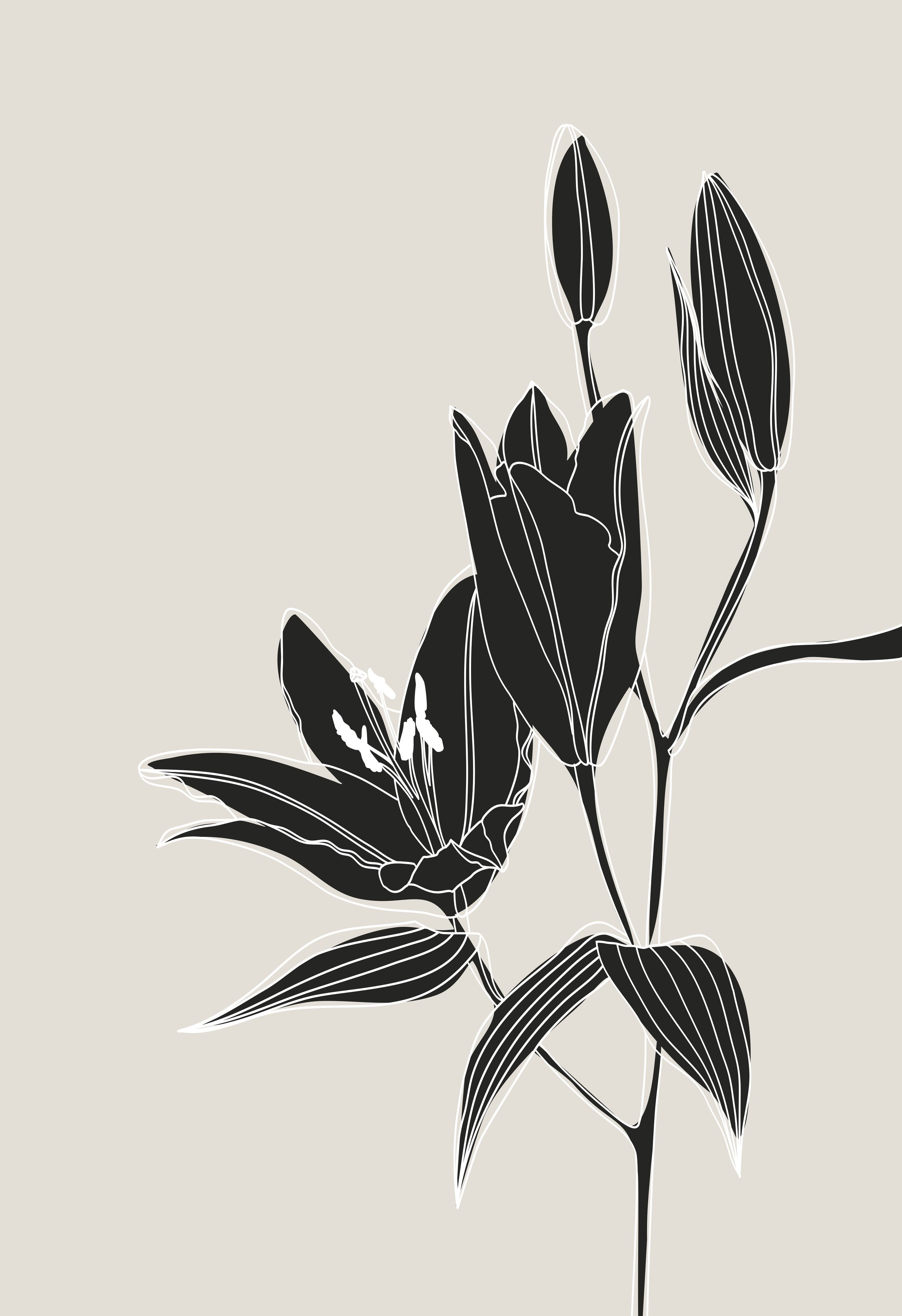 Wandverkleidung Bad-Beige Schwarze Lilien Lineart