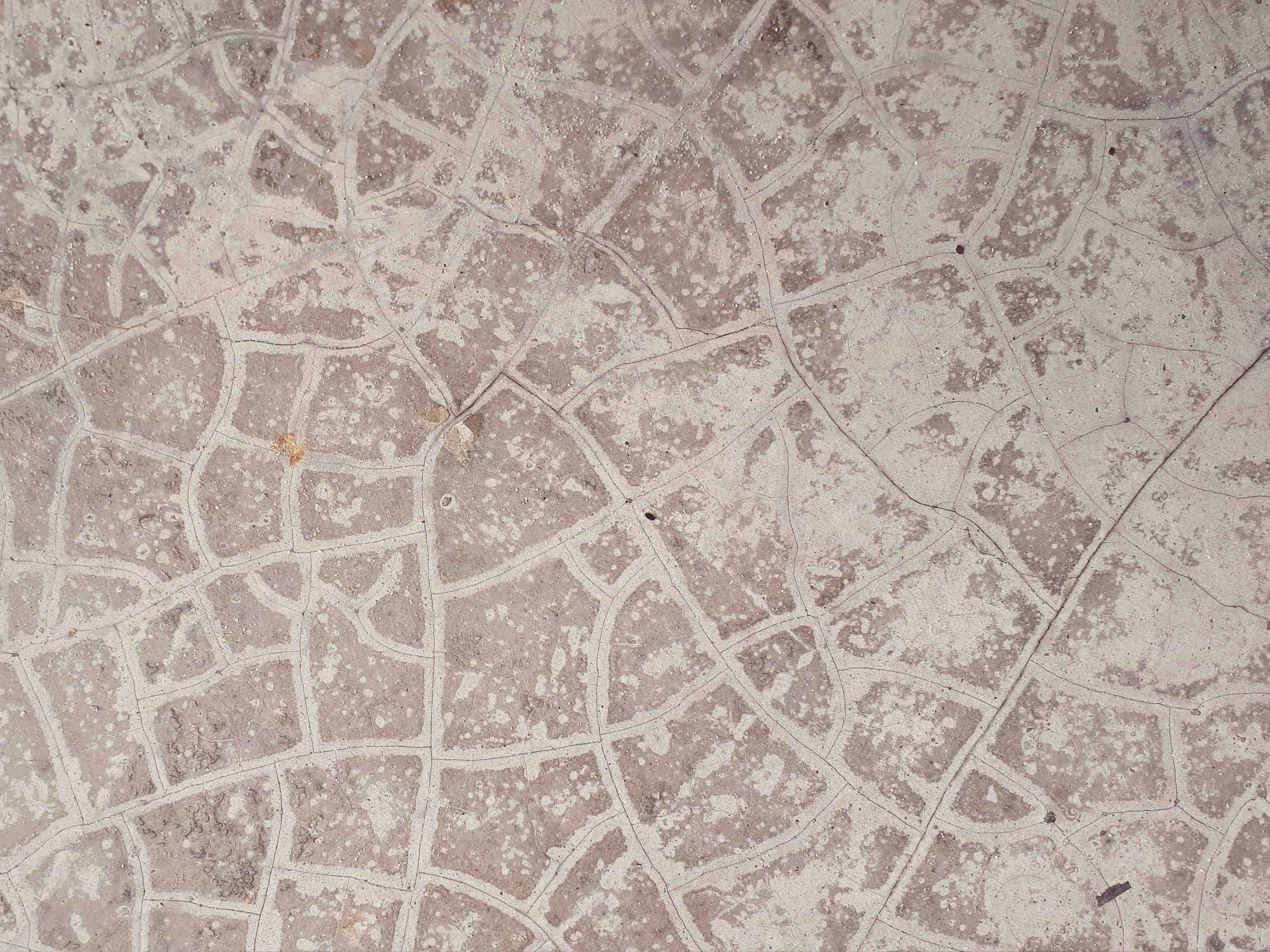 Wandverkleidung Bad-Beige Straßenmuster mit feiner Struktur