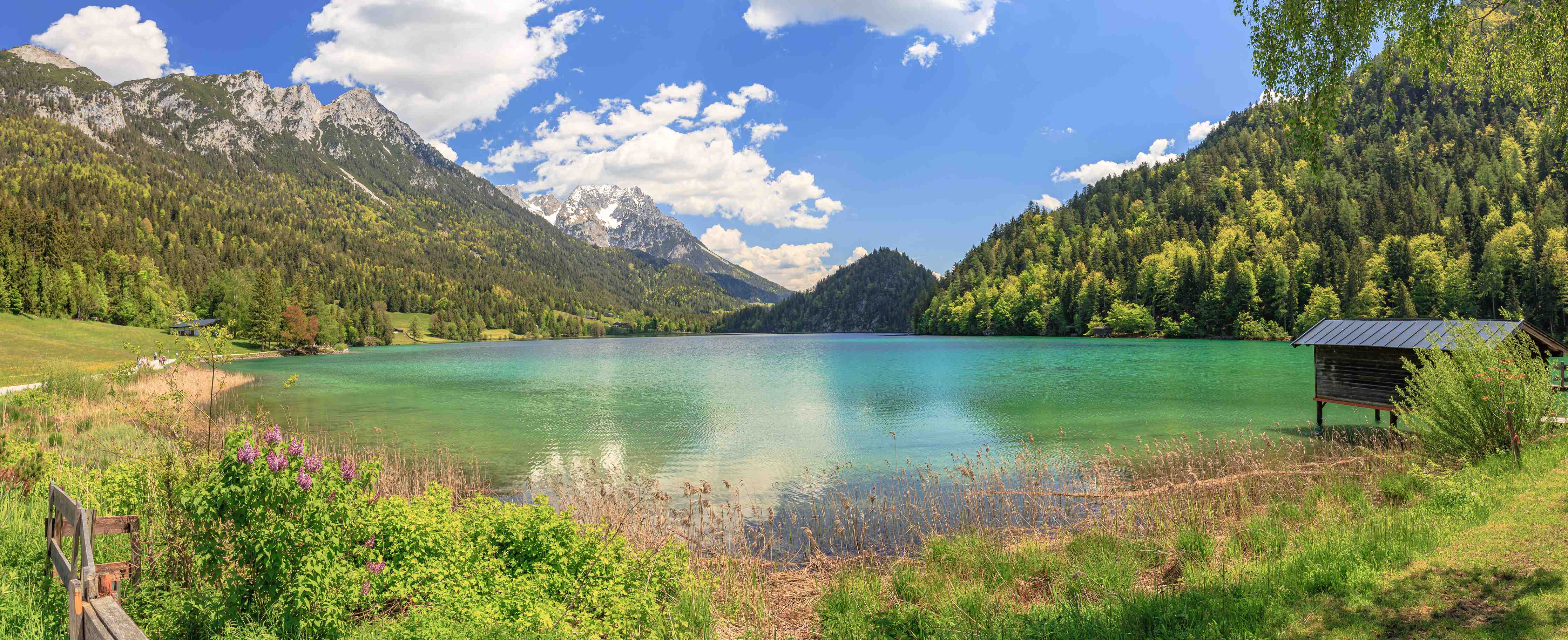 Wandverkleidung Bad-Bergsee mit klarer Wasserfläche und umgebender Natur