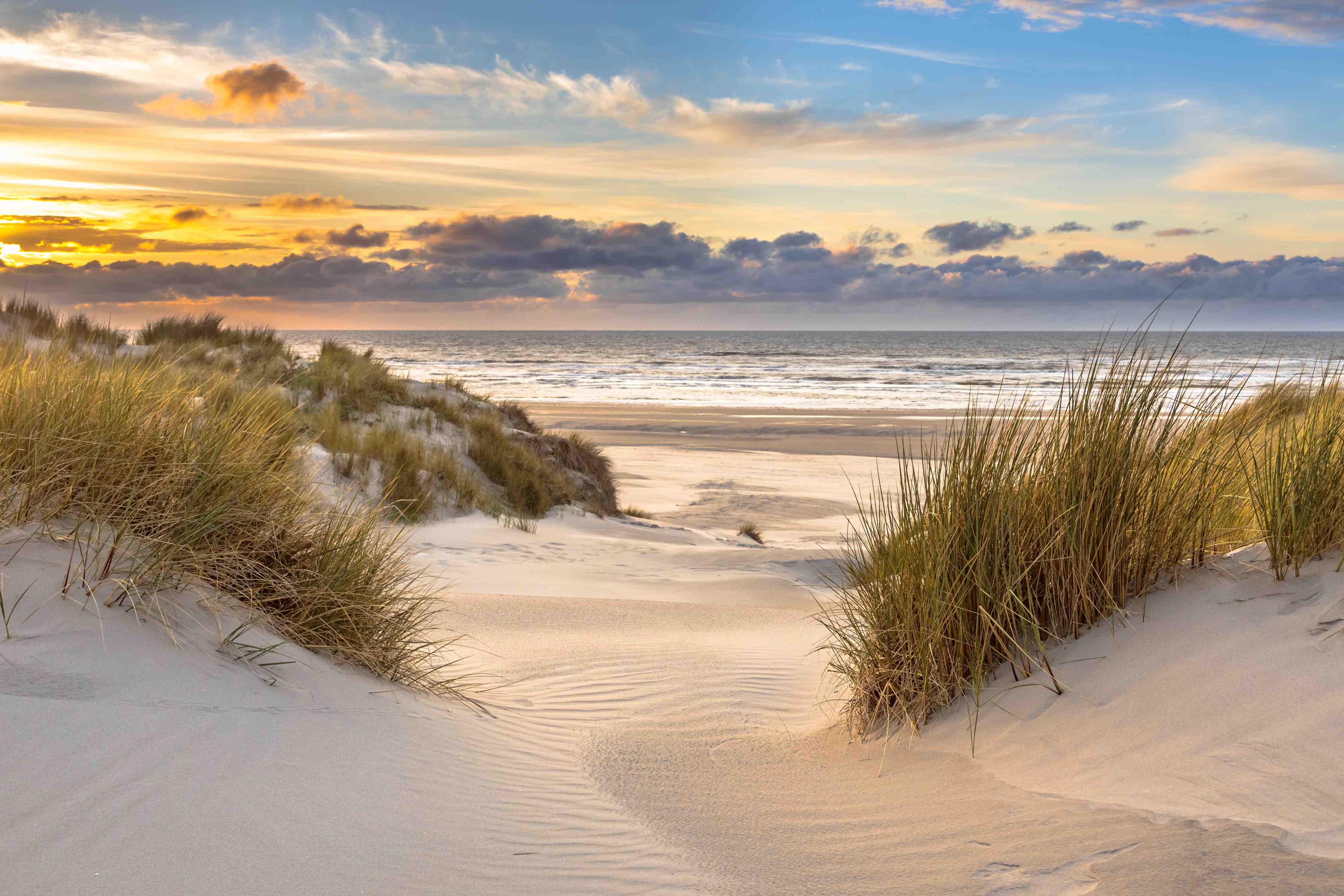 Wandverkleidung Bad-Blick auf den sonnigen Strand bei Sonnenuntergang