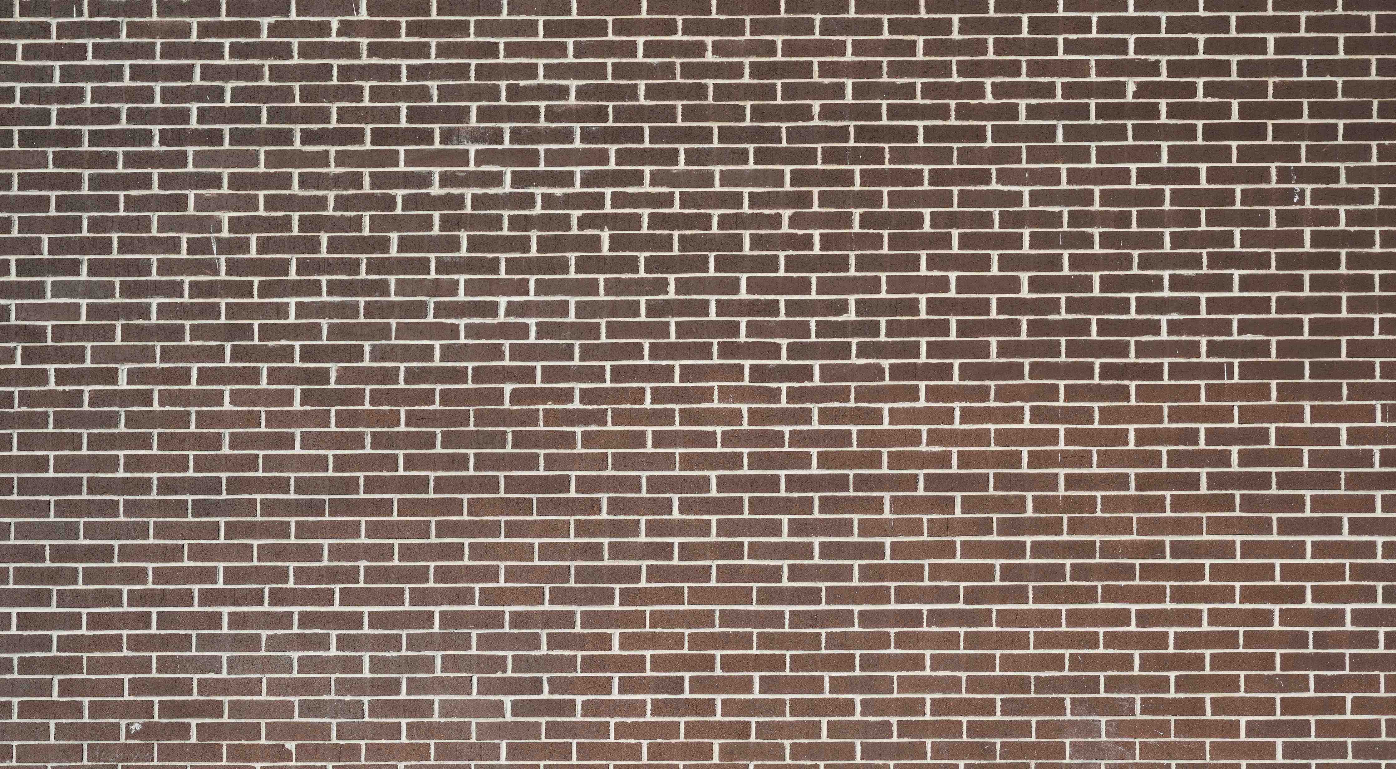 Wandverkleidung Bad-Bunte Blumenwiese bei Sonnenaufgang