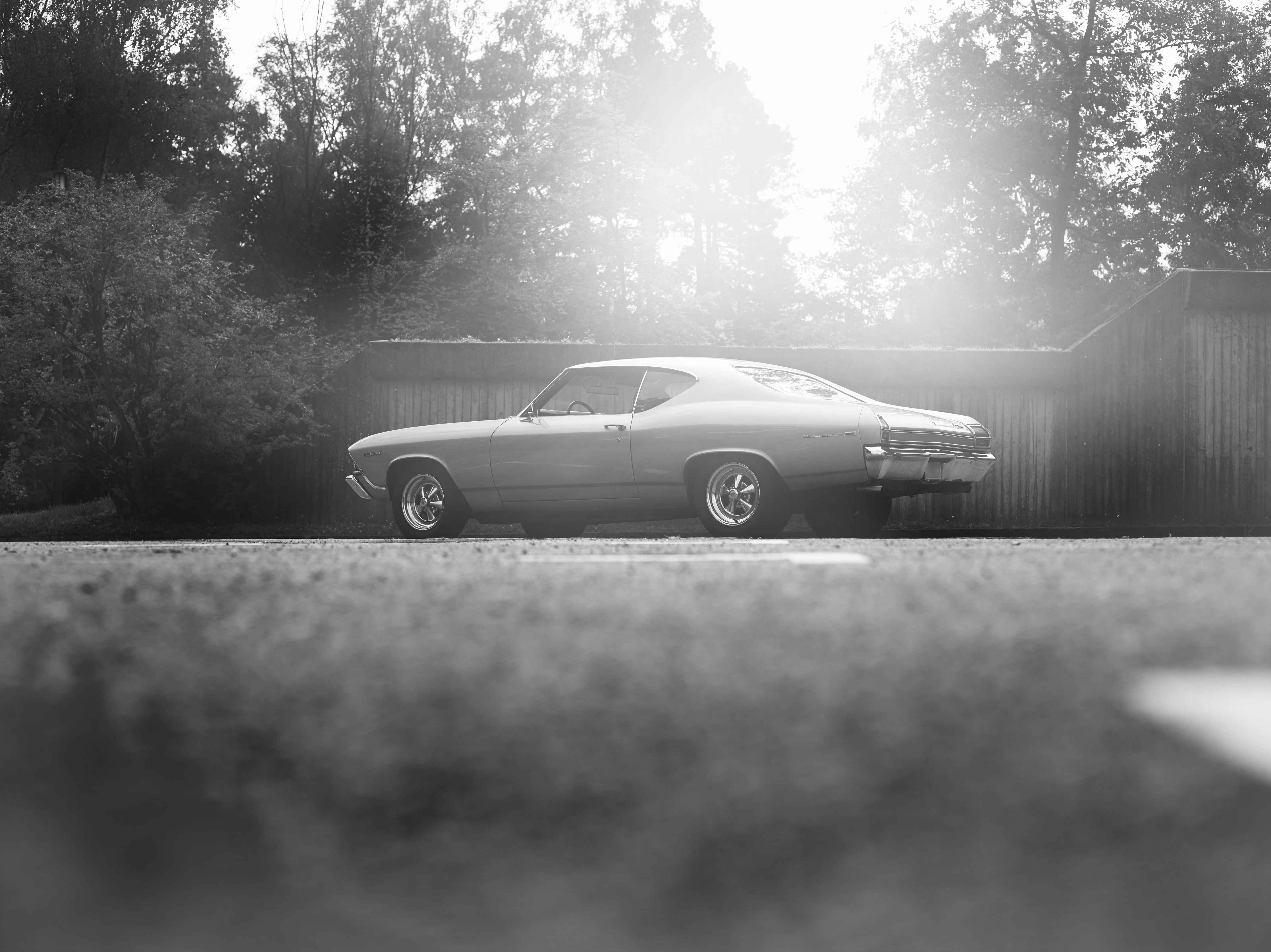 Wandverkleidung Bad-Chevrolet Chevelle Malibu 1969