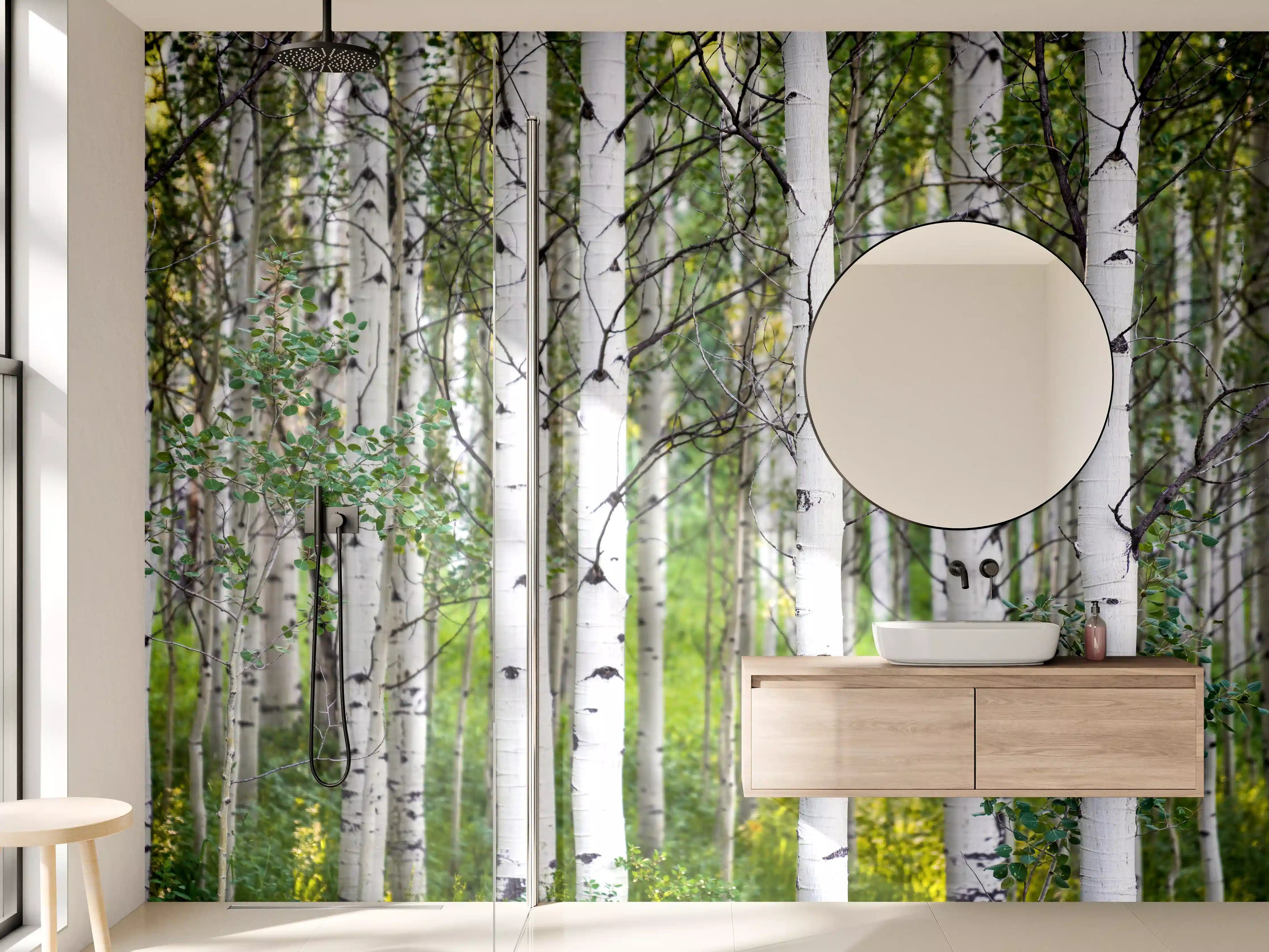 Wandverkleidung Bad - Elegante Birken im Wald