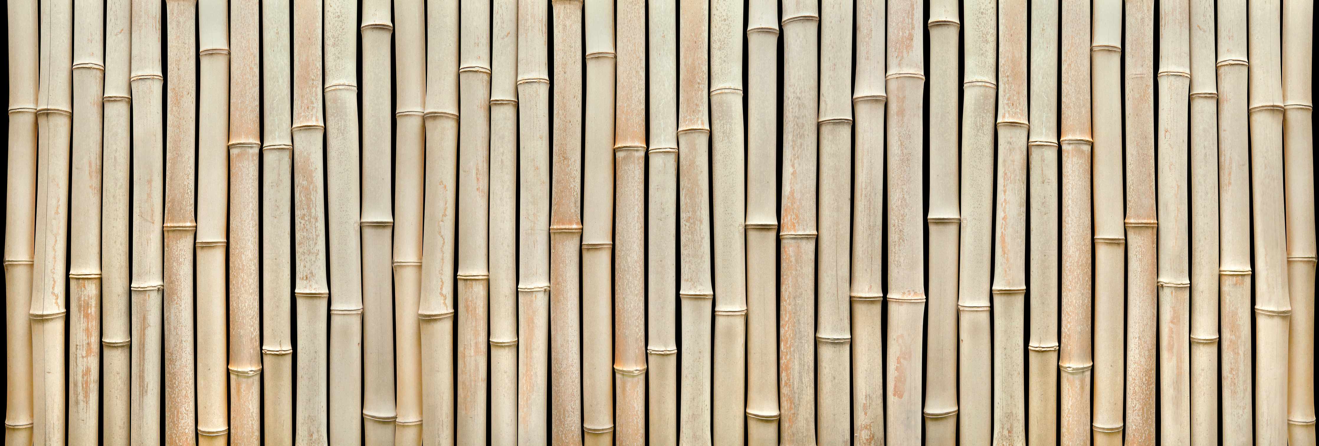 Wandverkleidung Bad-Fassade aus schönem Bambus