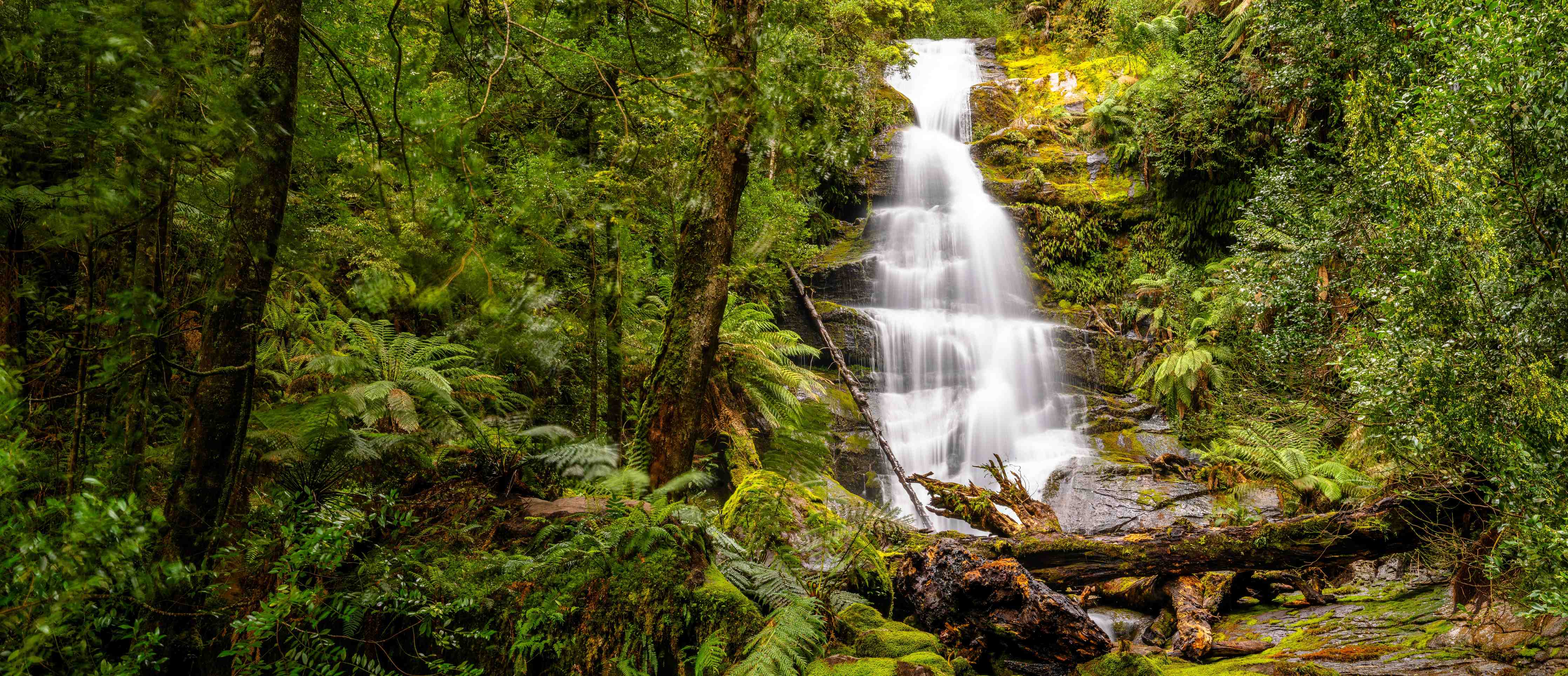Wandverkleidung Bad-Grüner Wasserfall in Naturkulisse