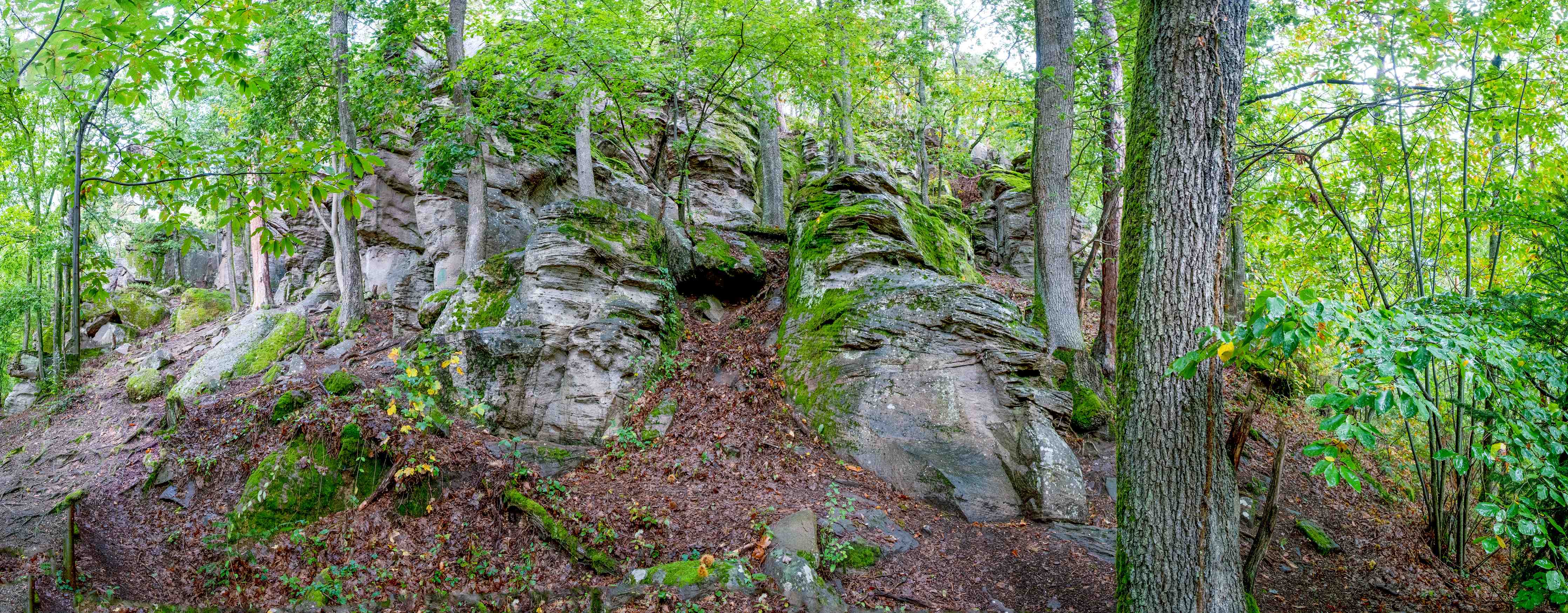 Wandverkleidung Bad-Grünes Waldpanorama mit Felsen und Bäumen
