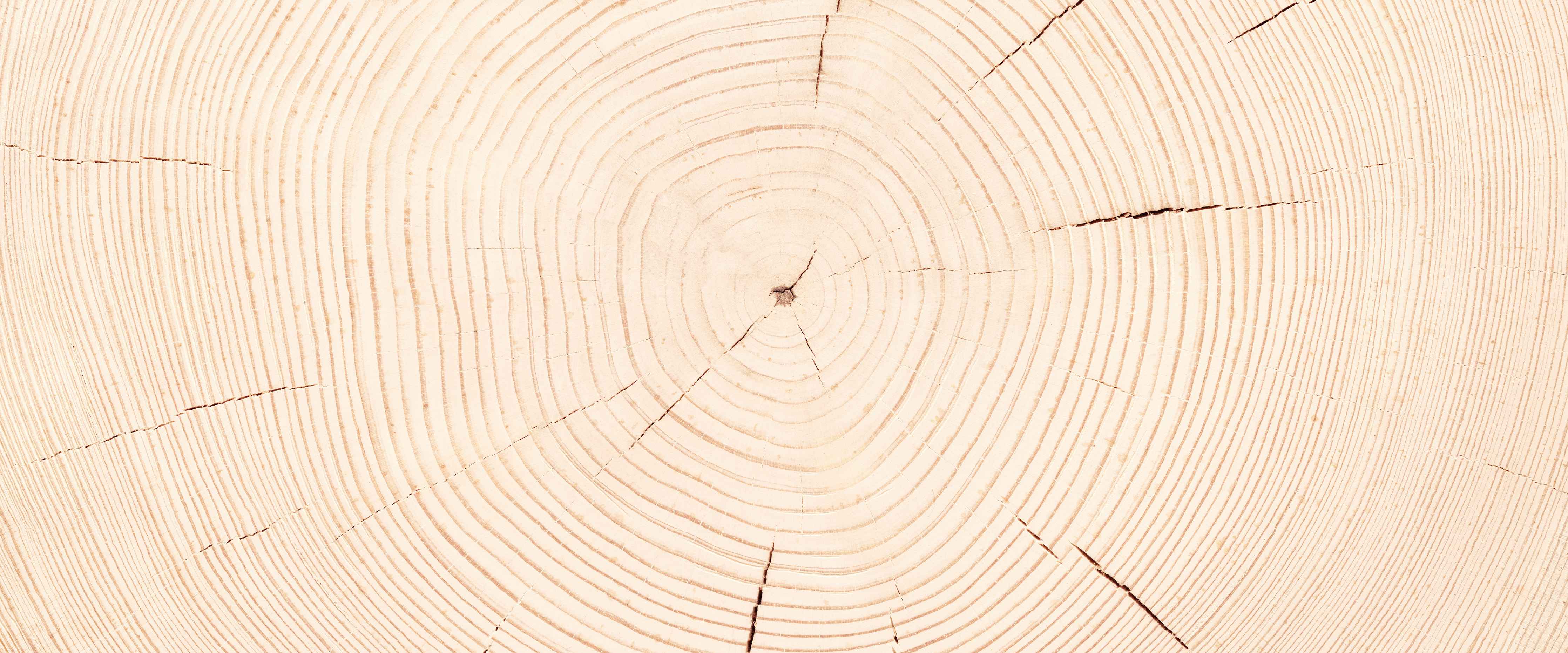 Wandverkleidung Bad-Helle Holzmaserung mit Naturtextur