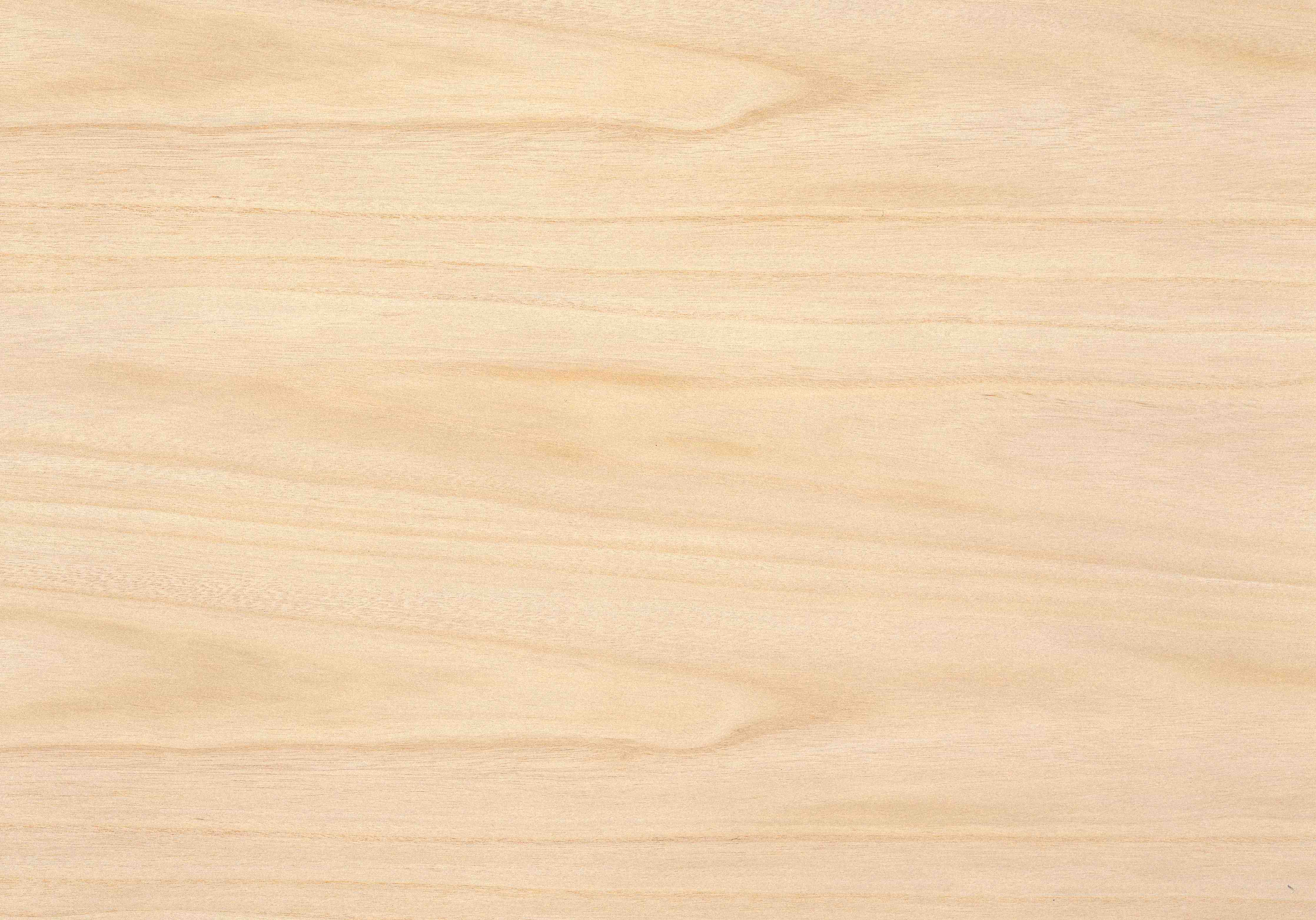 Wandverkleidung Bad-Helles Holz mit feiner Maserung