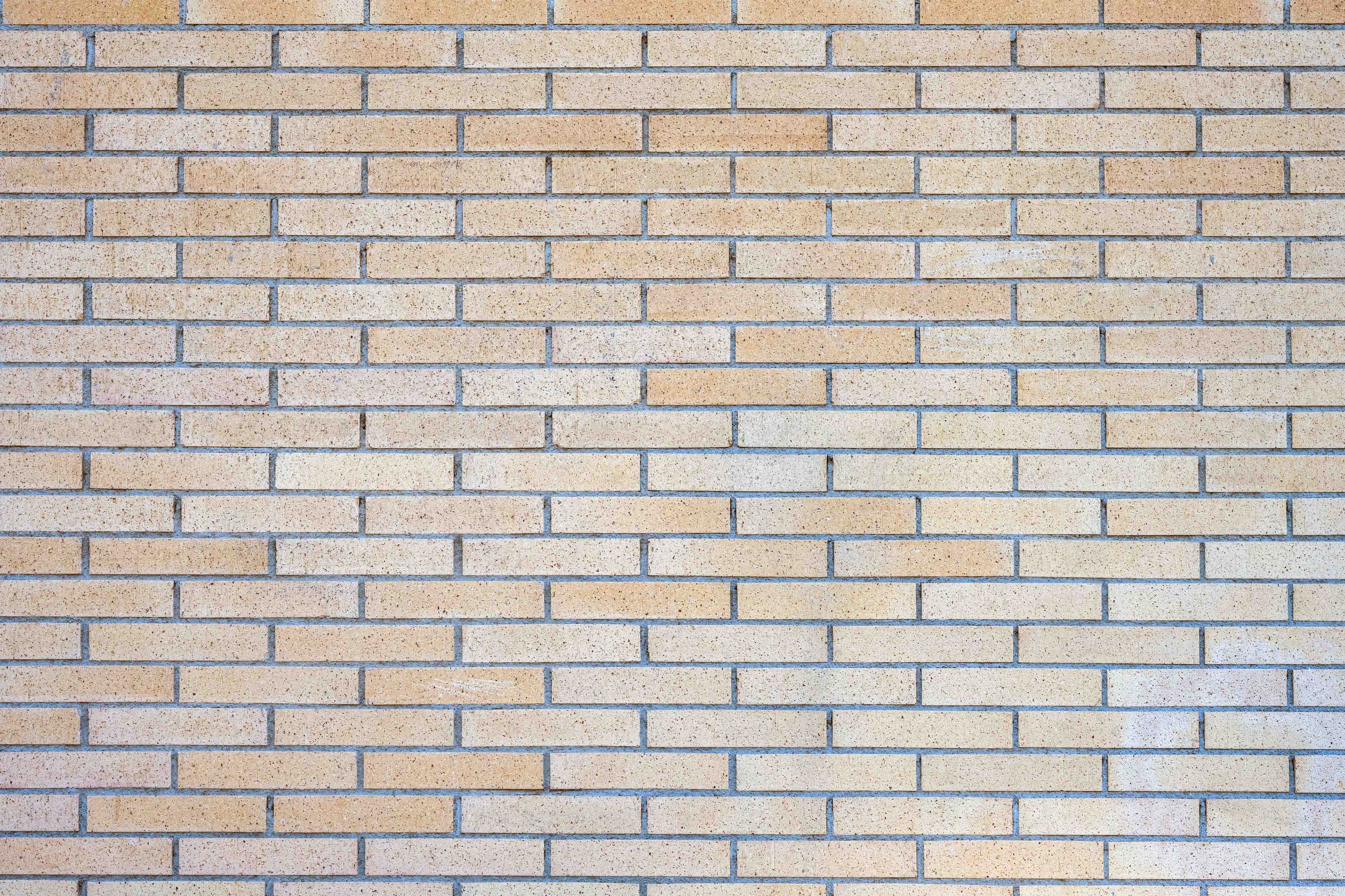 Wandverkleidung Bad-Hellgelbe Ziegelwand mit Betonfugen