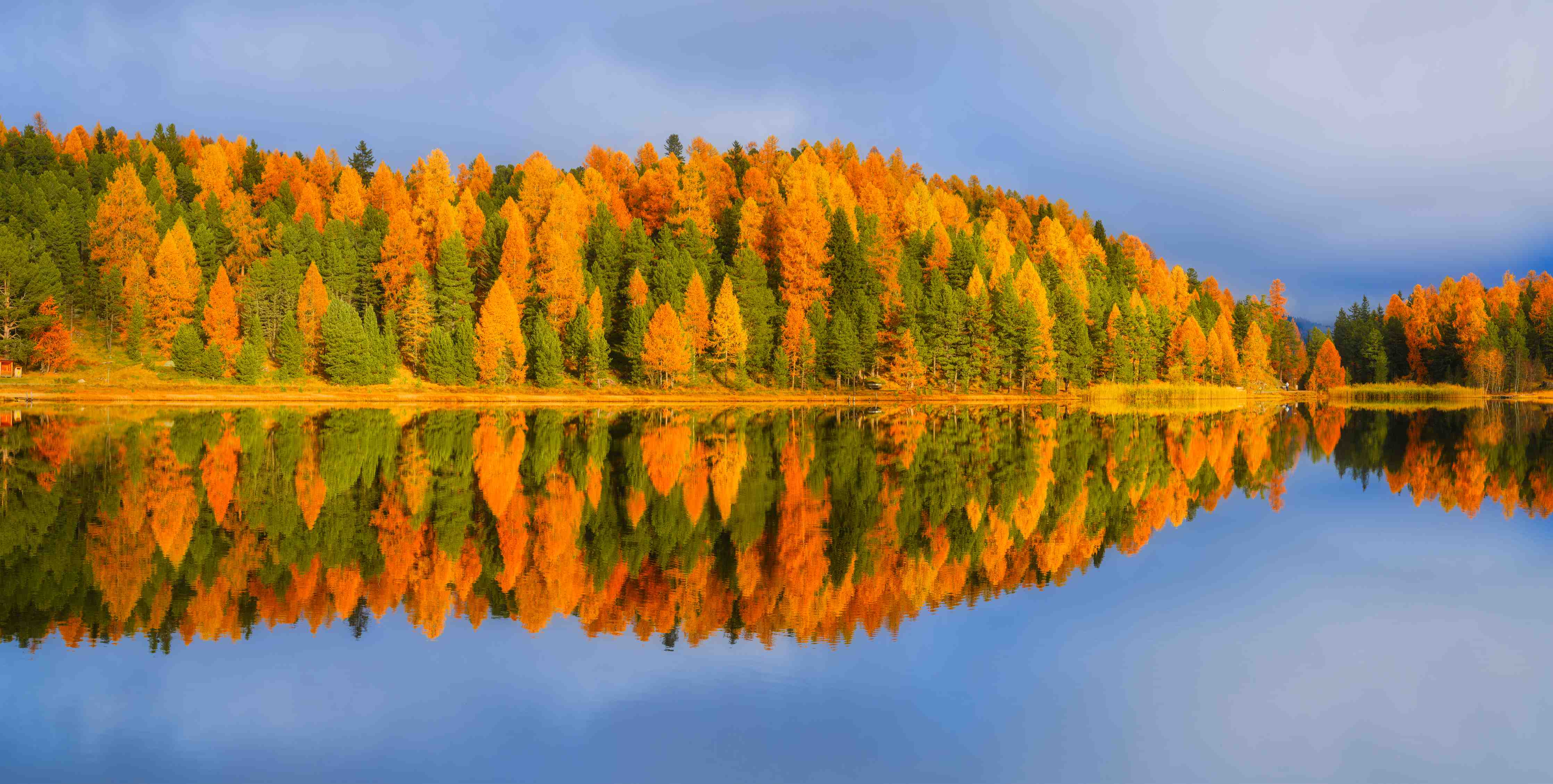 Wandverkleidung Bad-Herbstliche Waldidylle mit Spiegelung am See