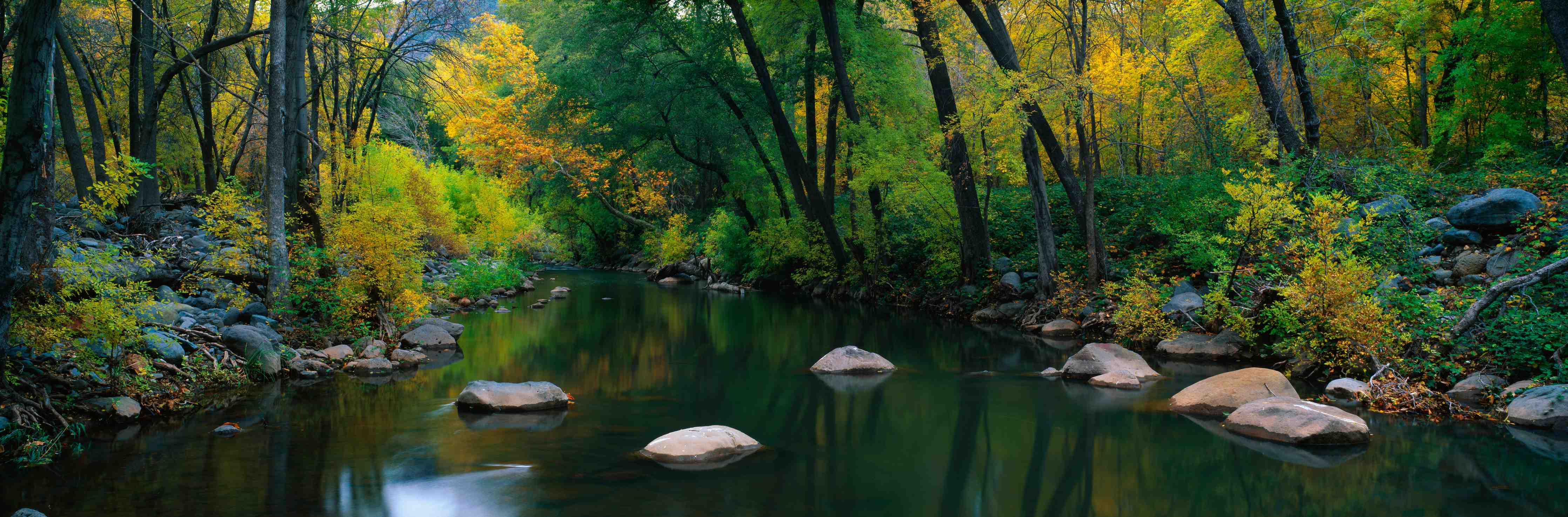 Wandverkleidung Bad-Herbstlicher Fluss in Waldlandschaft