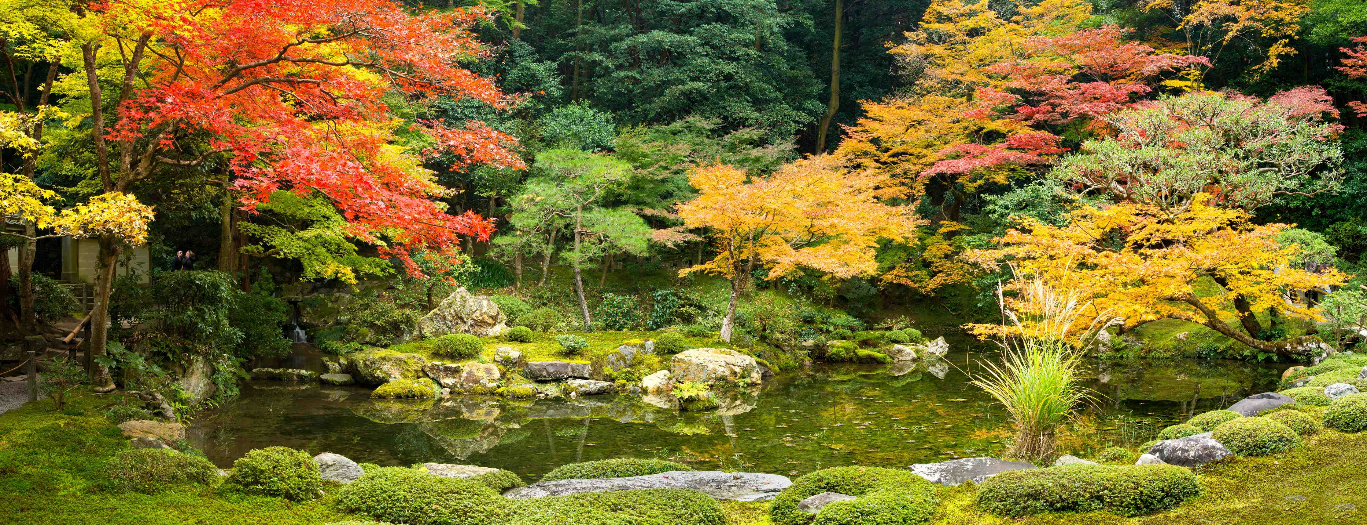 Wandverkleidung Bad-Herbstlicher Garten in warmen Farben
