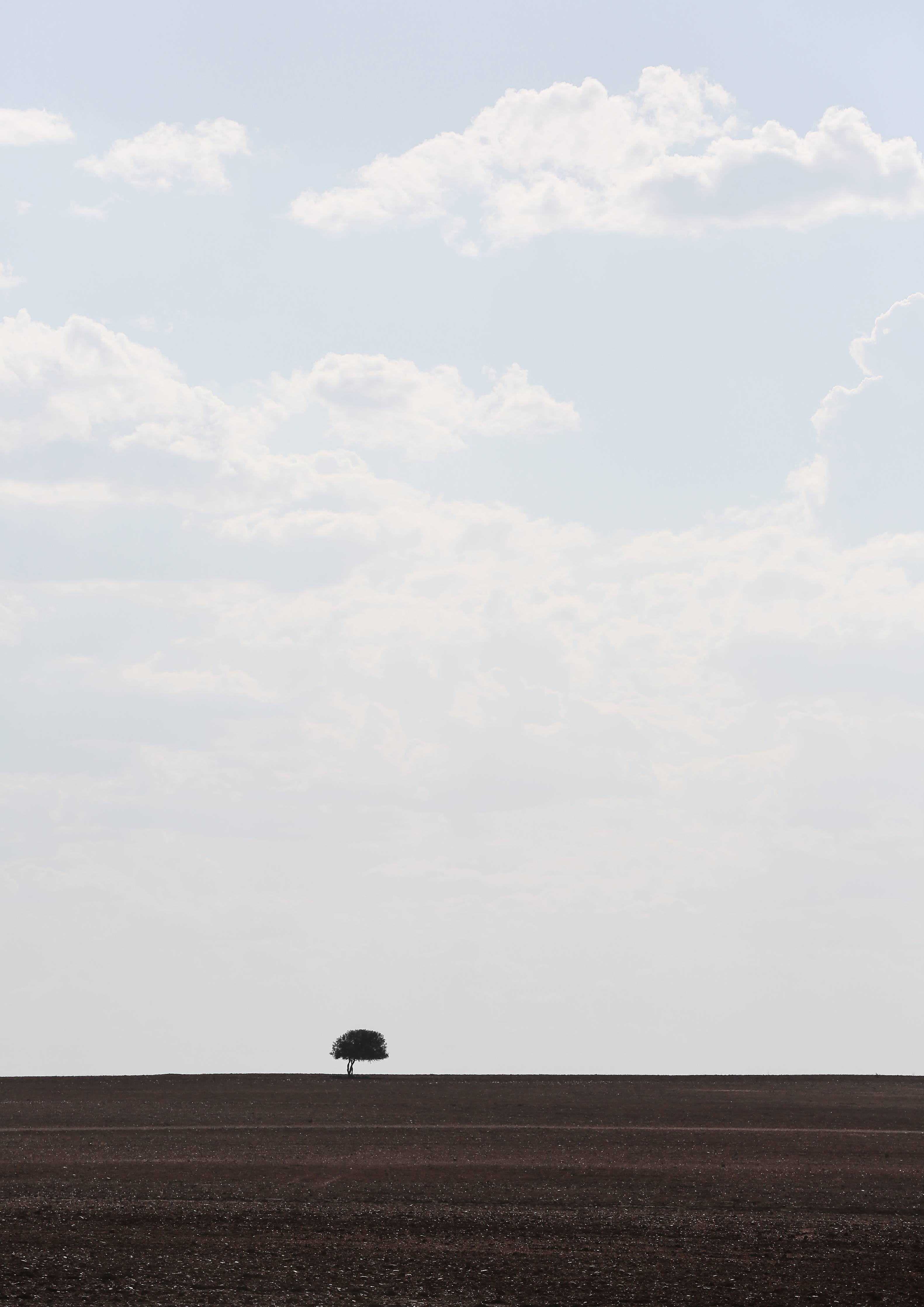 Wandverkleidung Bad-Himmelspaziergang mit einzelner Baum-Silhouette