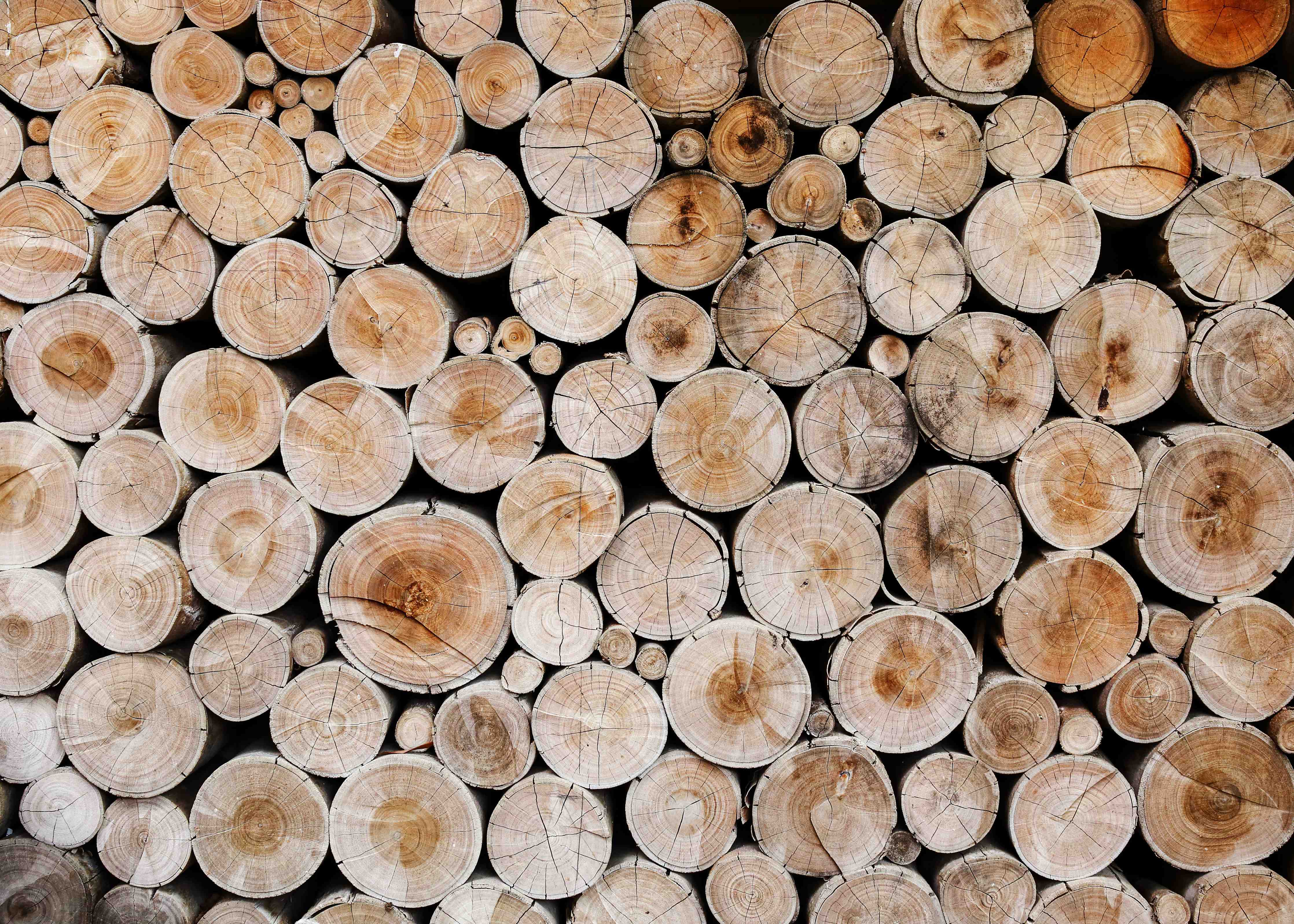 Wandverkleidung Bad-Holzstämme in natürlicher Optik