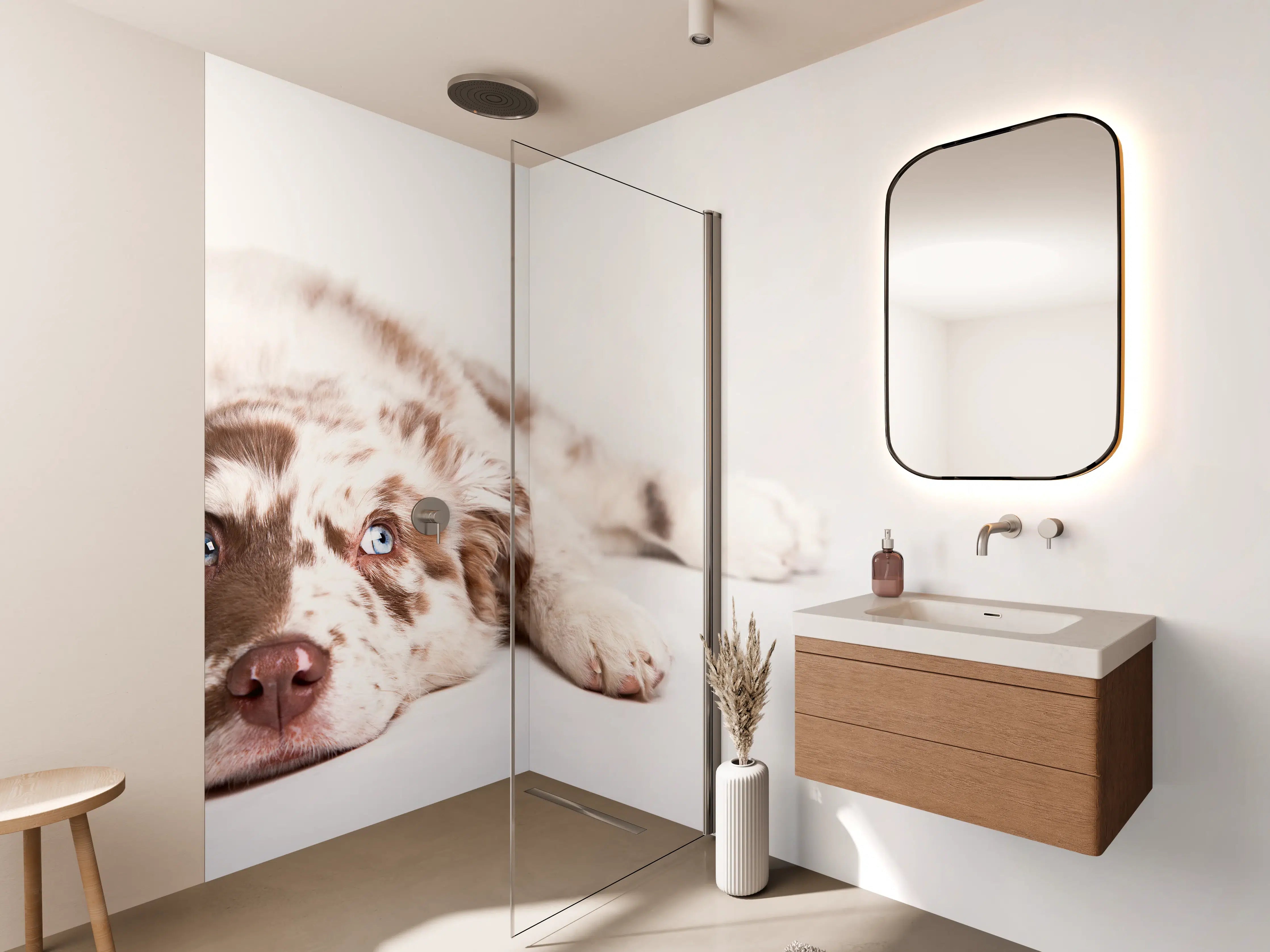 Wandverkleidung Bad - Hunde Portrait - Australian Shepherd