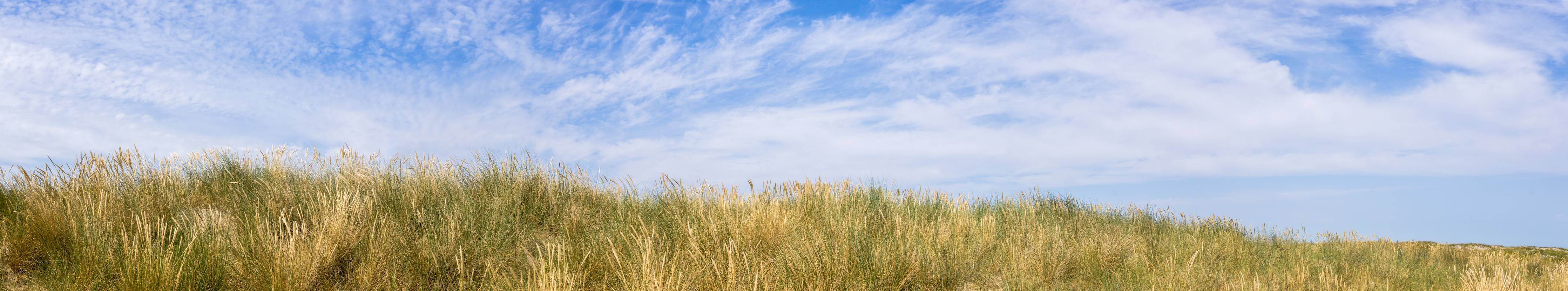 Wandverkleidung Bad-Idyllische Küstenlandschaft mit Himmel