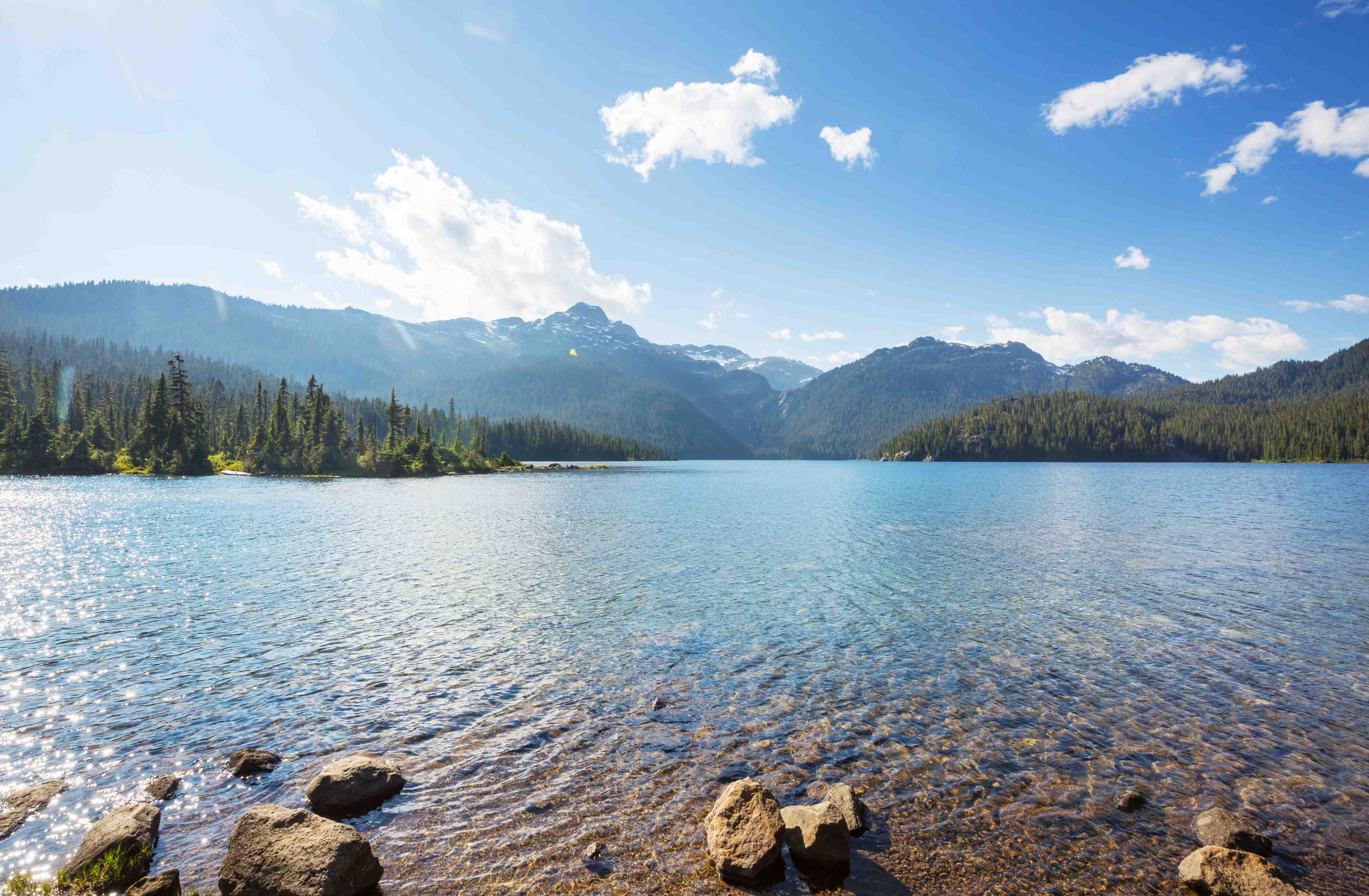 Wandverkleidung Bad-Idyllischer Bergsee mit Wäldern