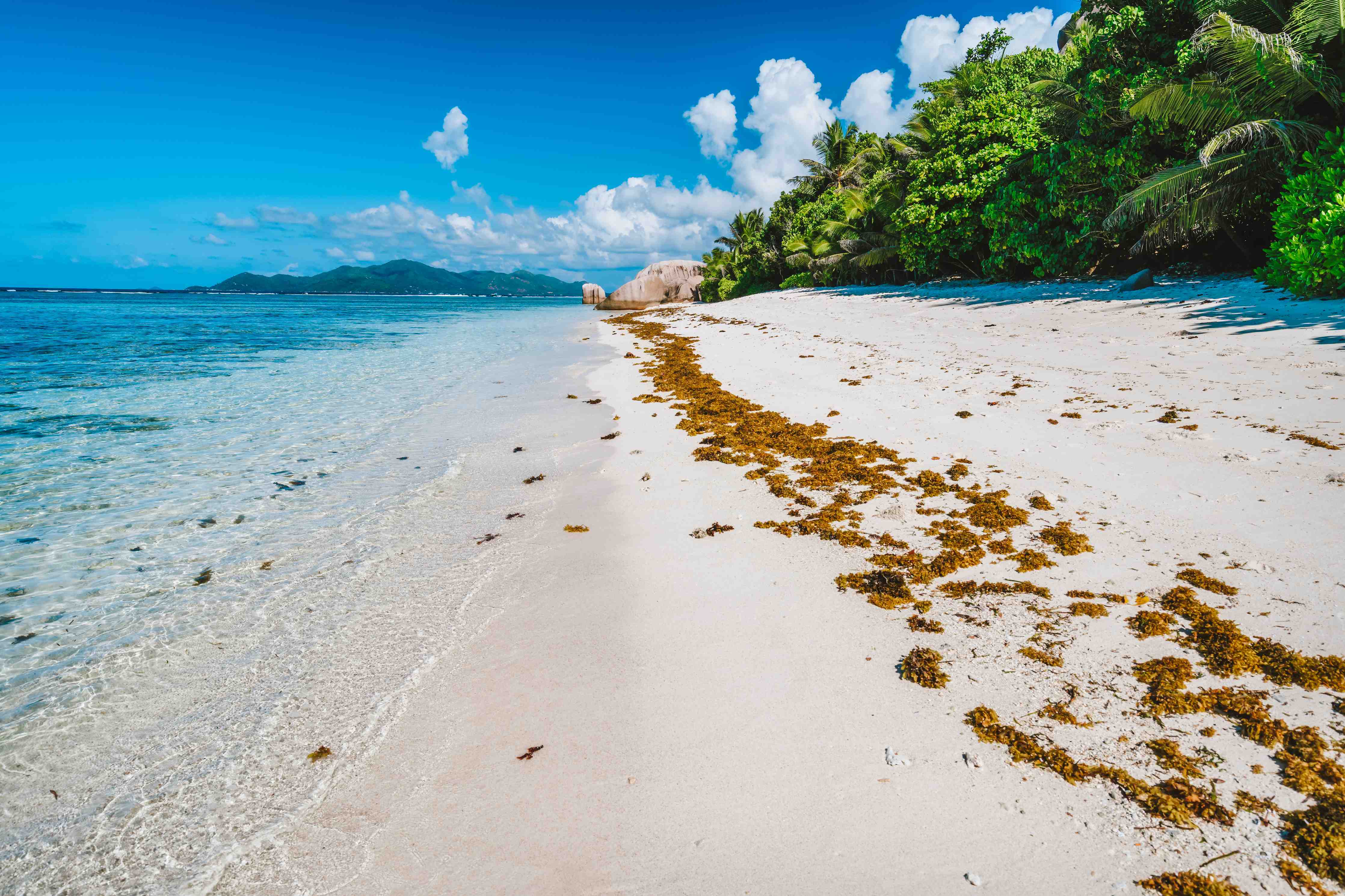 Wandverkleidung Bad-Idyllischer Strand mit klarer Meeresbrise