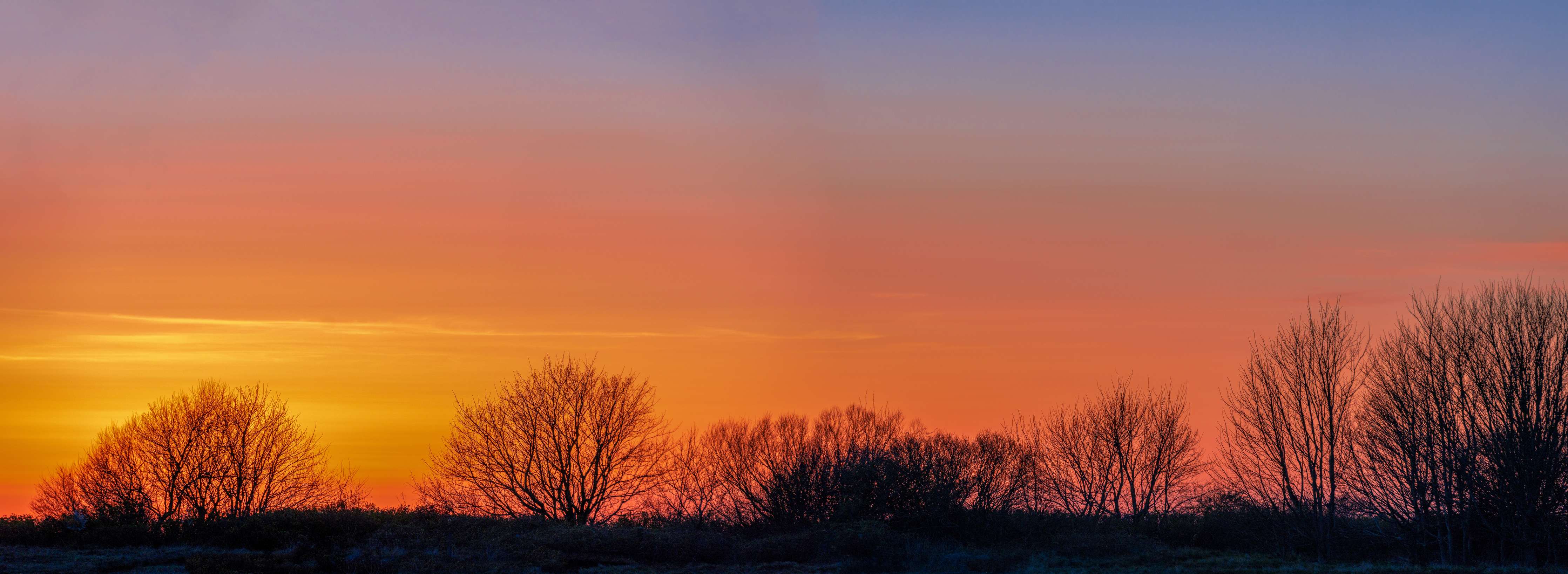 Wandverkleidung Bad-Leuchtender Sonnenuntergang mit Baum silhouettes