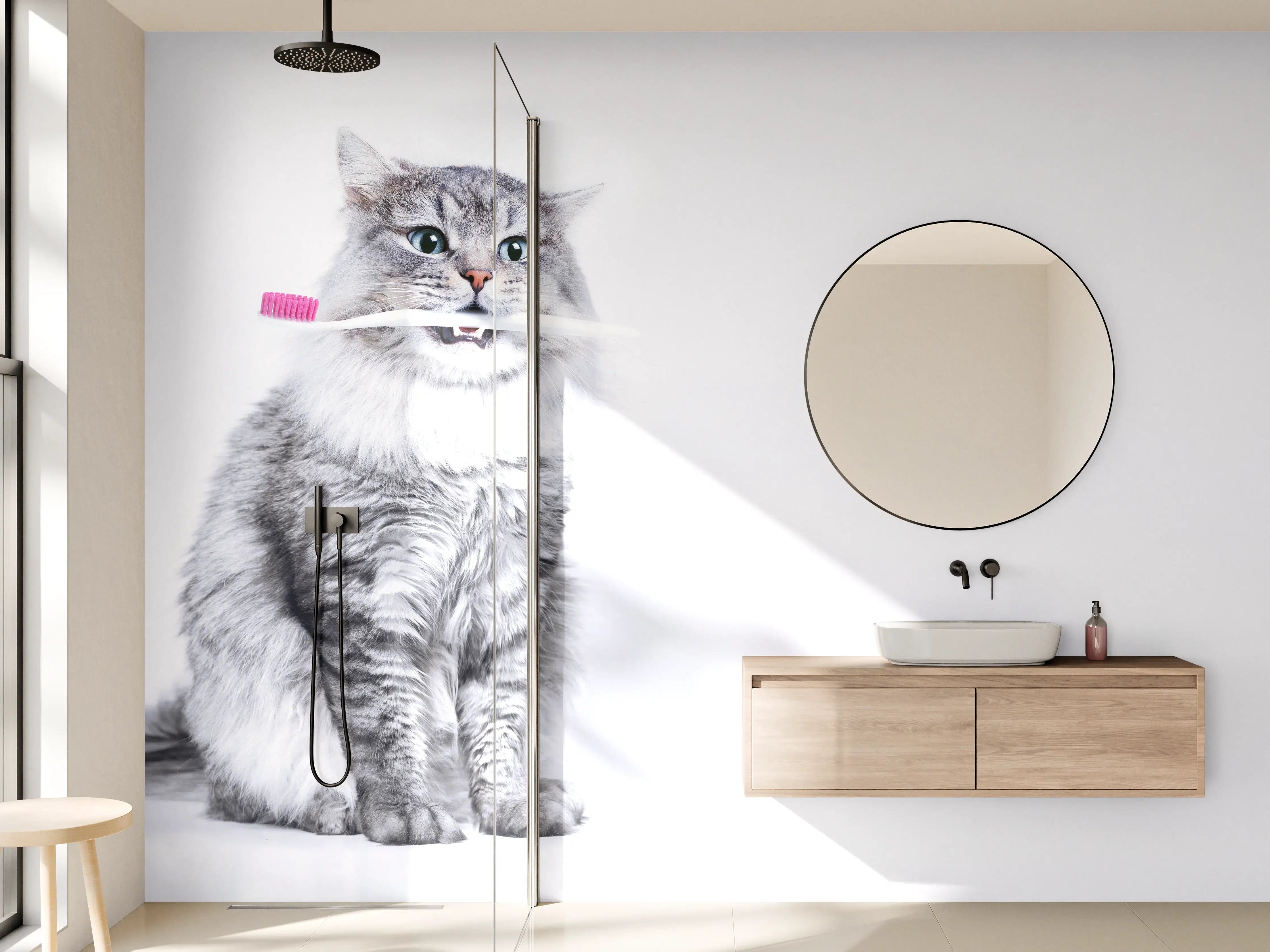 Wandverkleidung Bad - Lustige Katze mit Zahnbürste