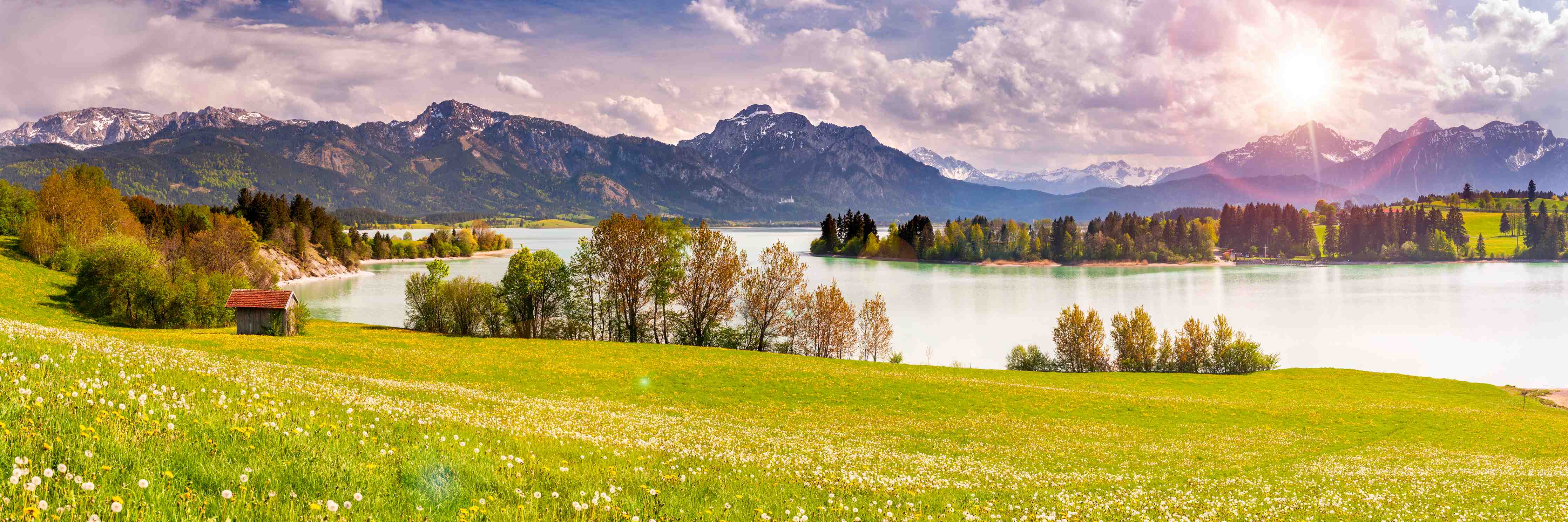 Wandverkleidung Bad-Morgenlicht am stillen See