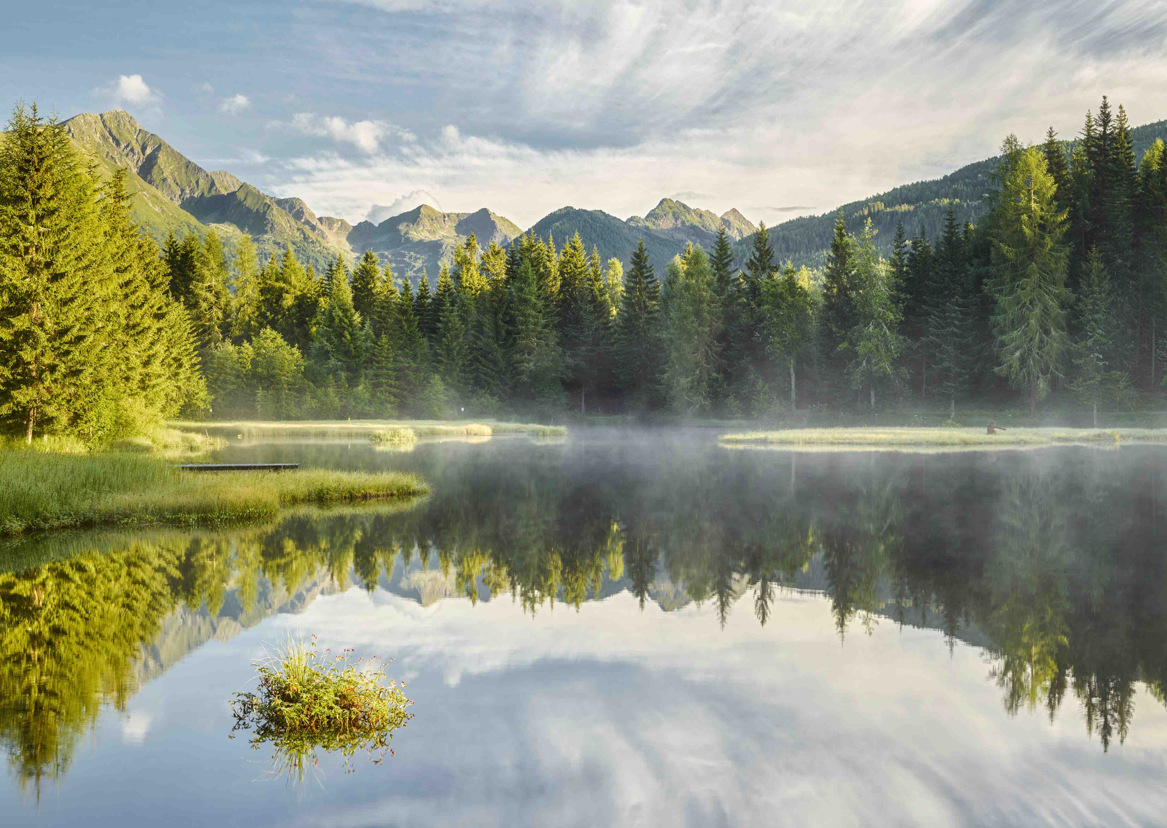 Wandverkleidung Bad-Morgennebel über dem ruhigen See