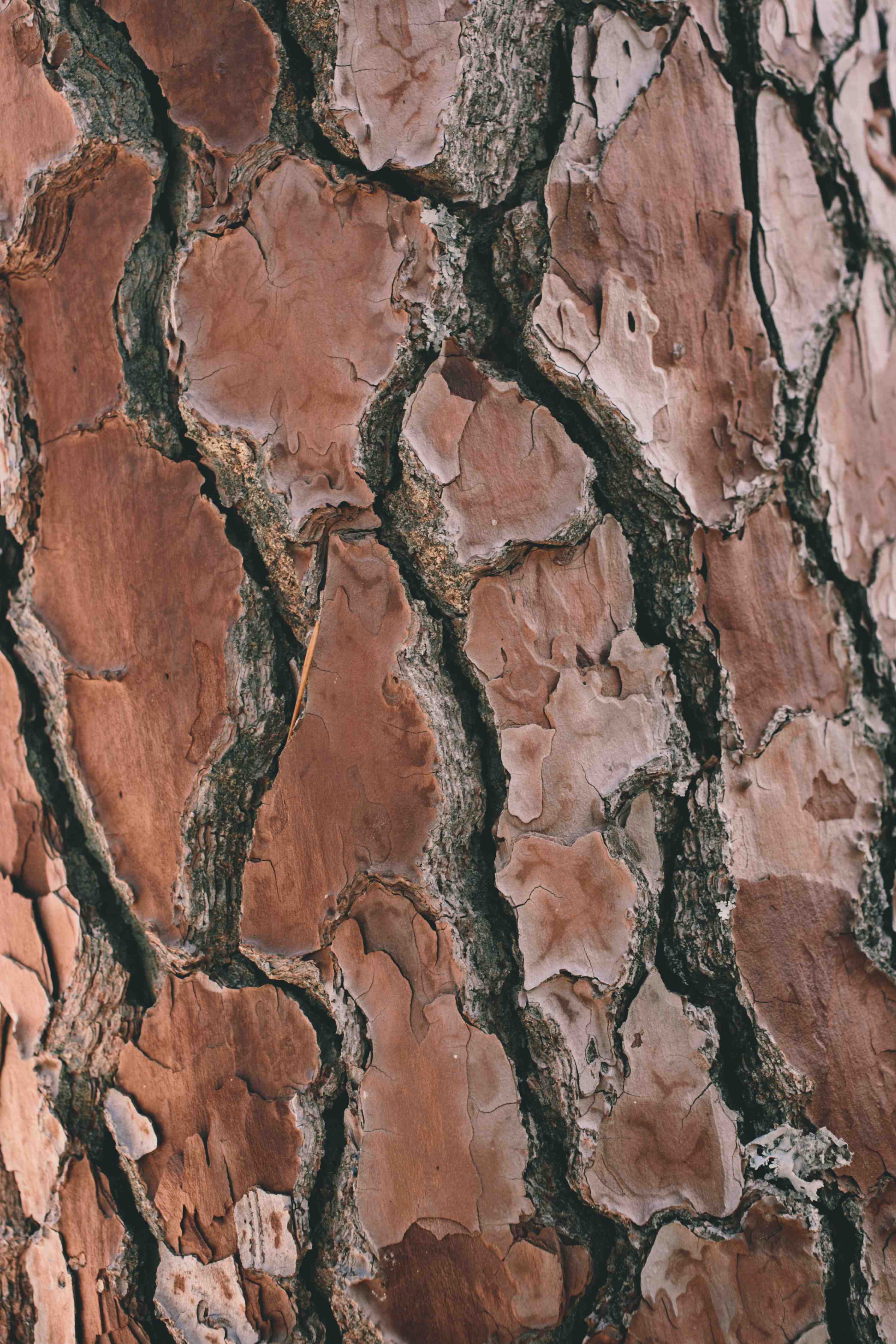 Wandverkleidung Bad-Naturstein mit braun-rötlicher Maserung