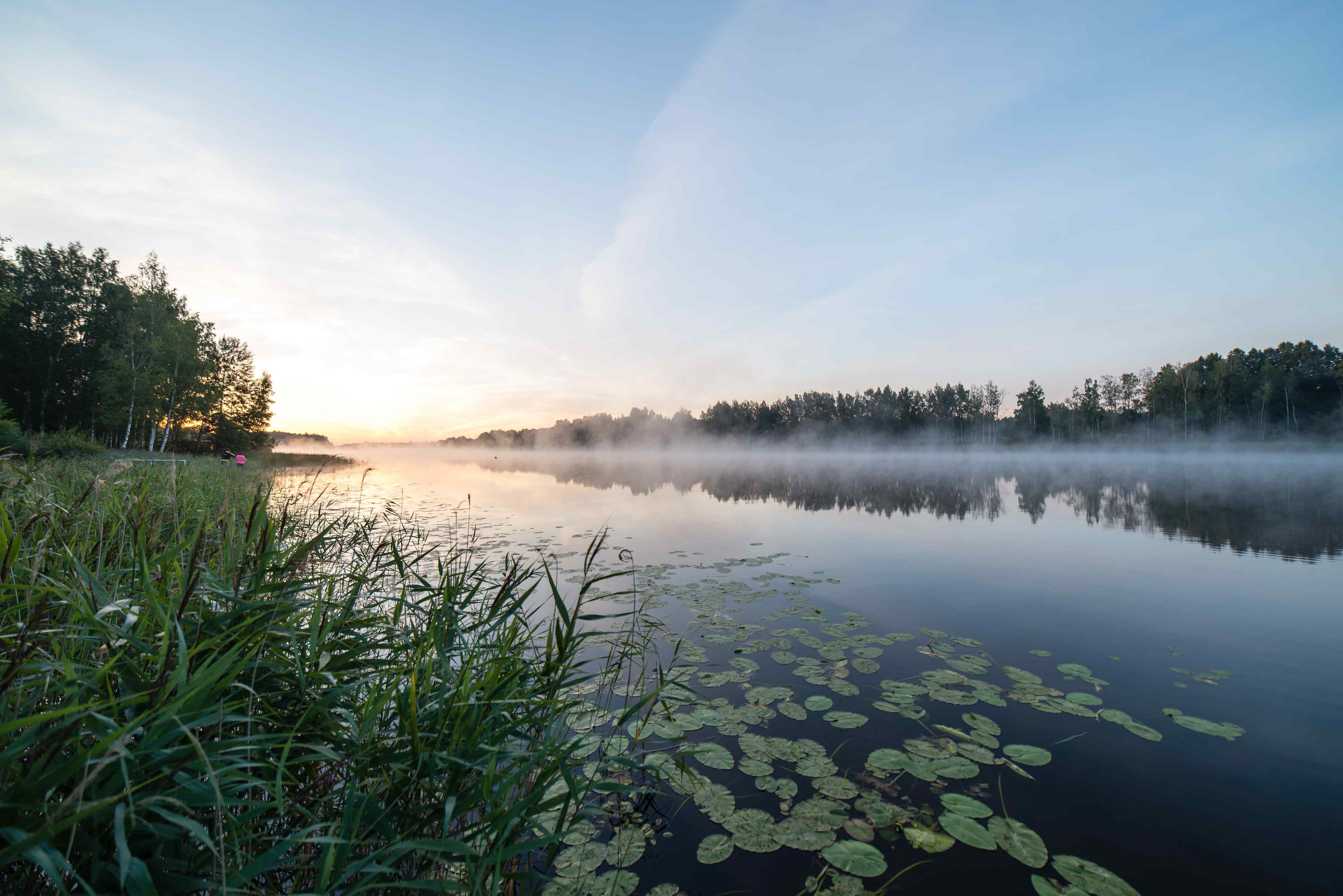 Wandverkleidung Bad-Nebel über ruhigem Fluss bei Sonnenaufgang