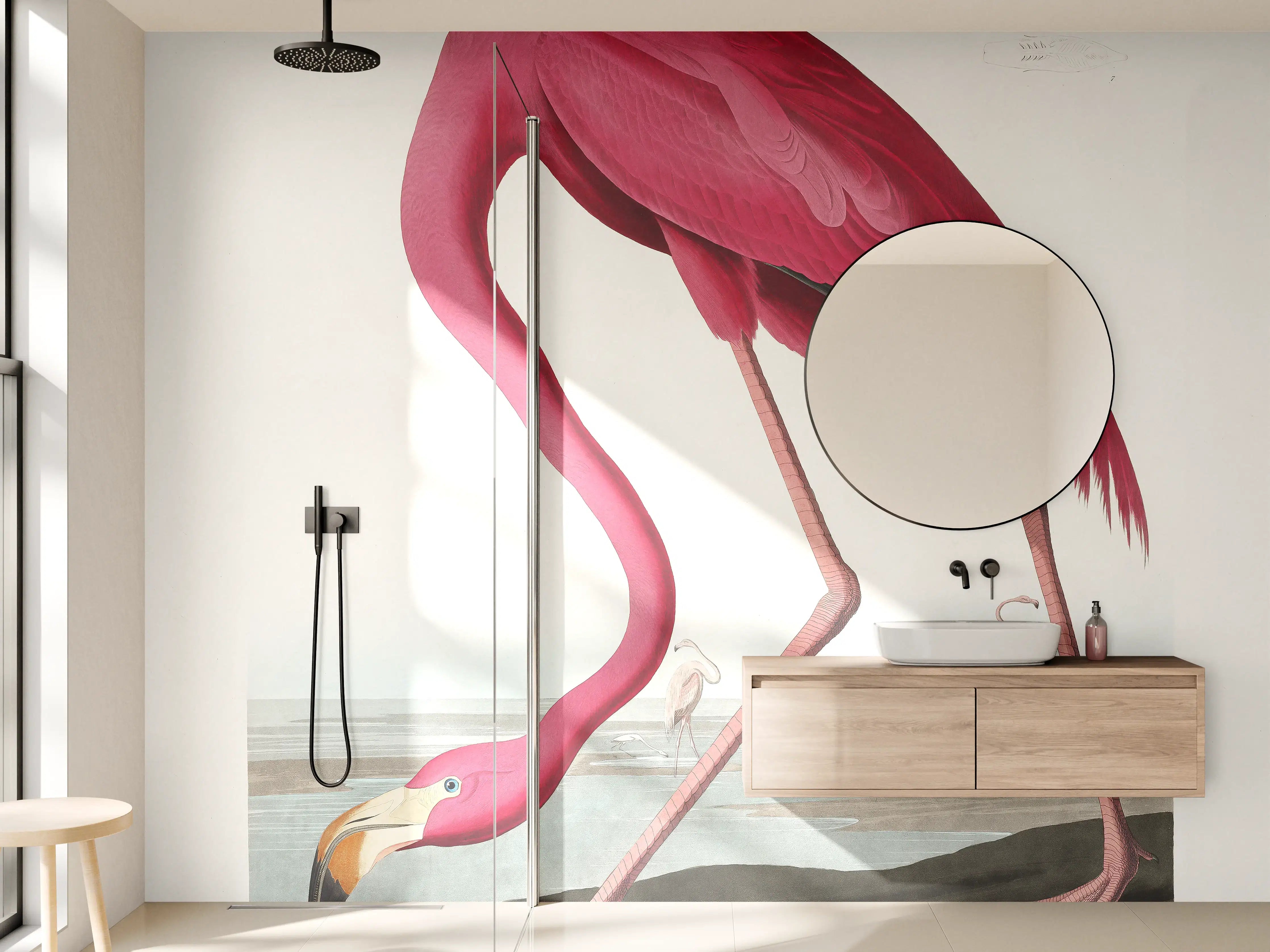 Wandverkleidung Bad - Pinker Flamingo - John James Audubon