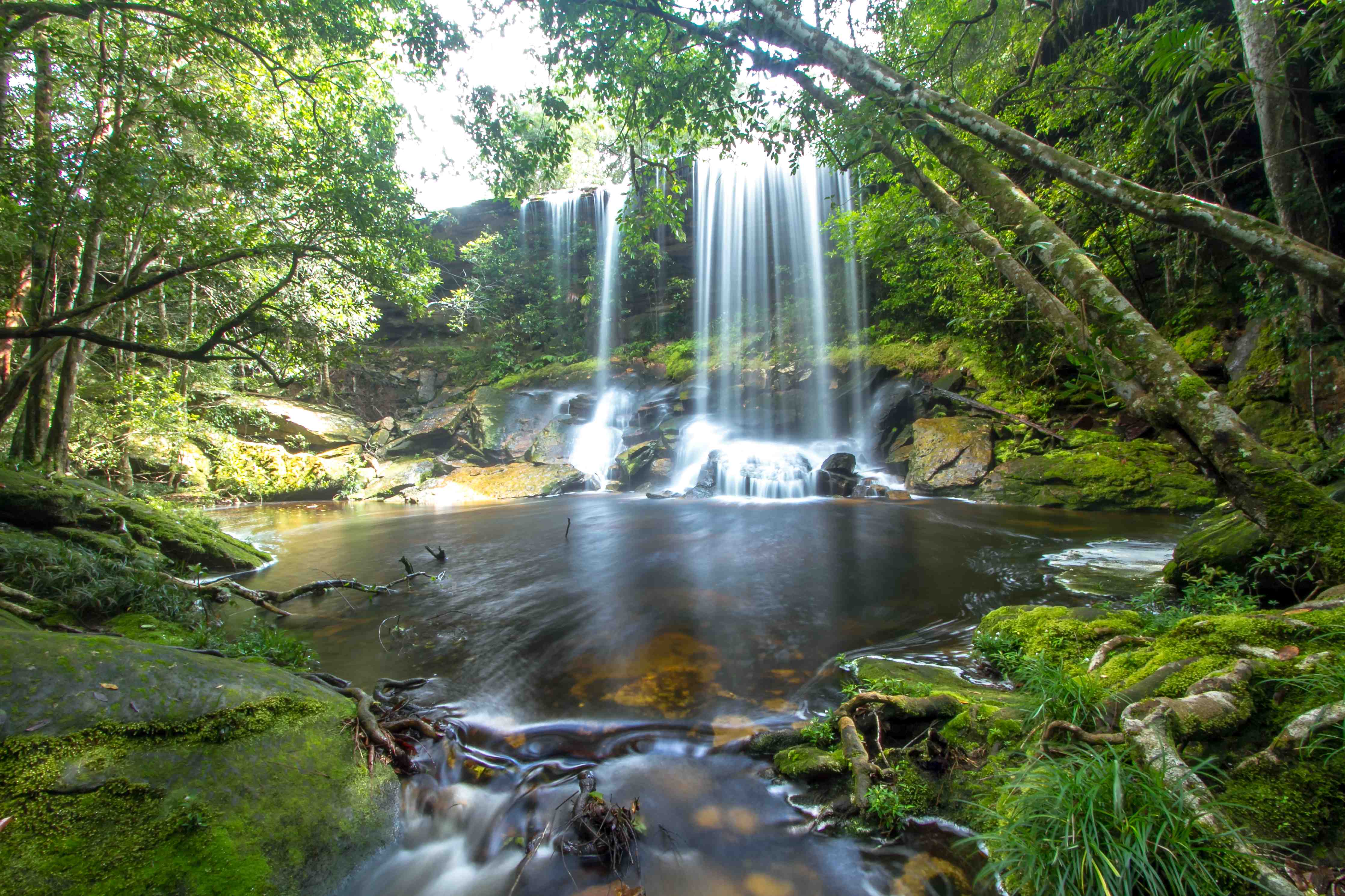 Wandverkleidung Bad-Prachtvoller Wasserfall im Grünen