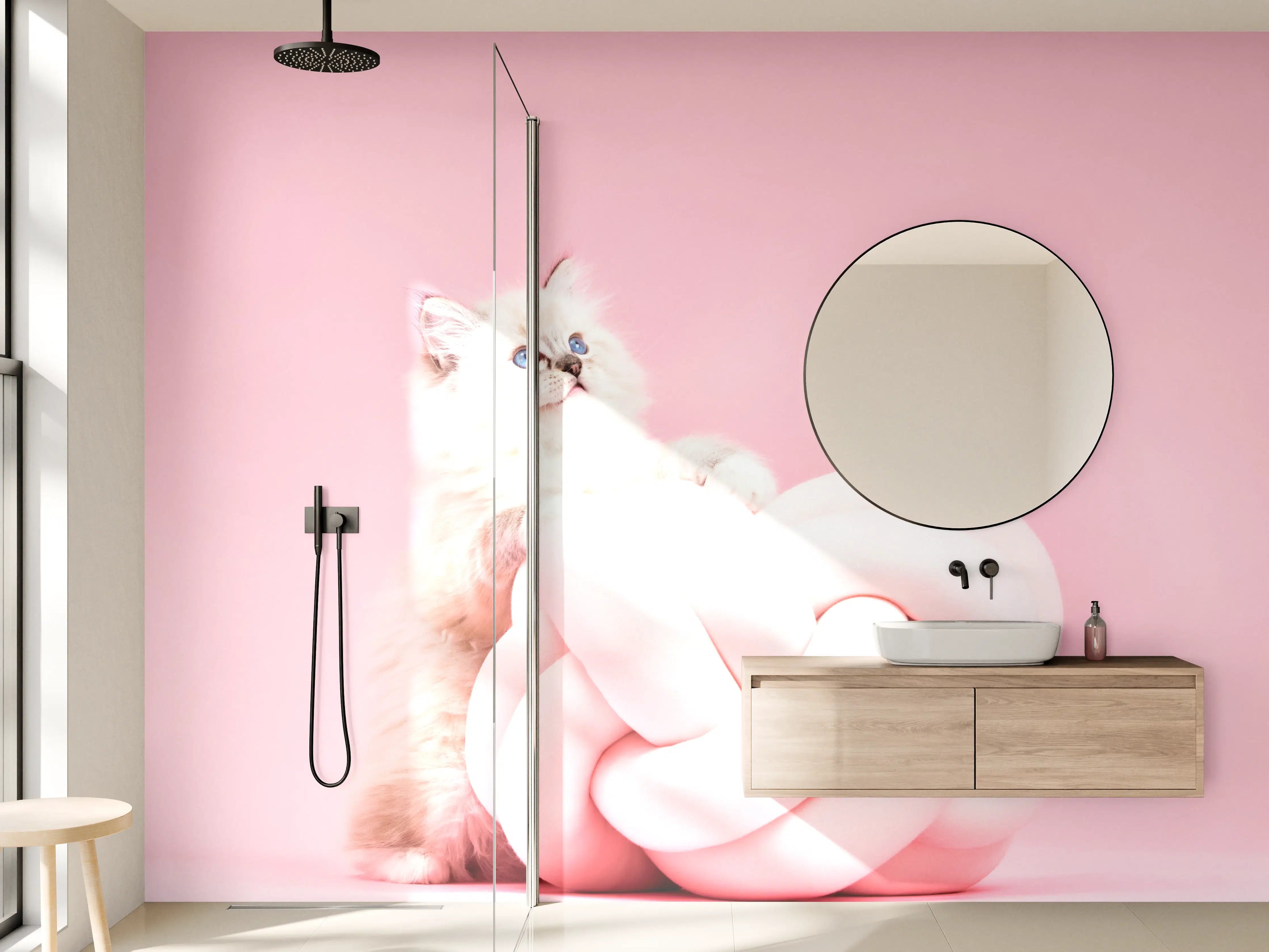 Wandverkleidung Bad - Ragdoll Katze auf Pinken Hintergrund