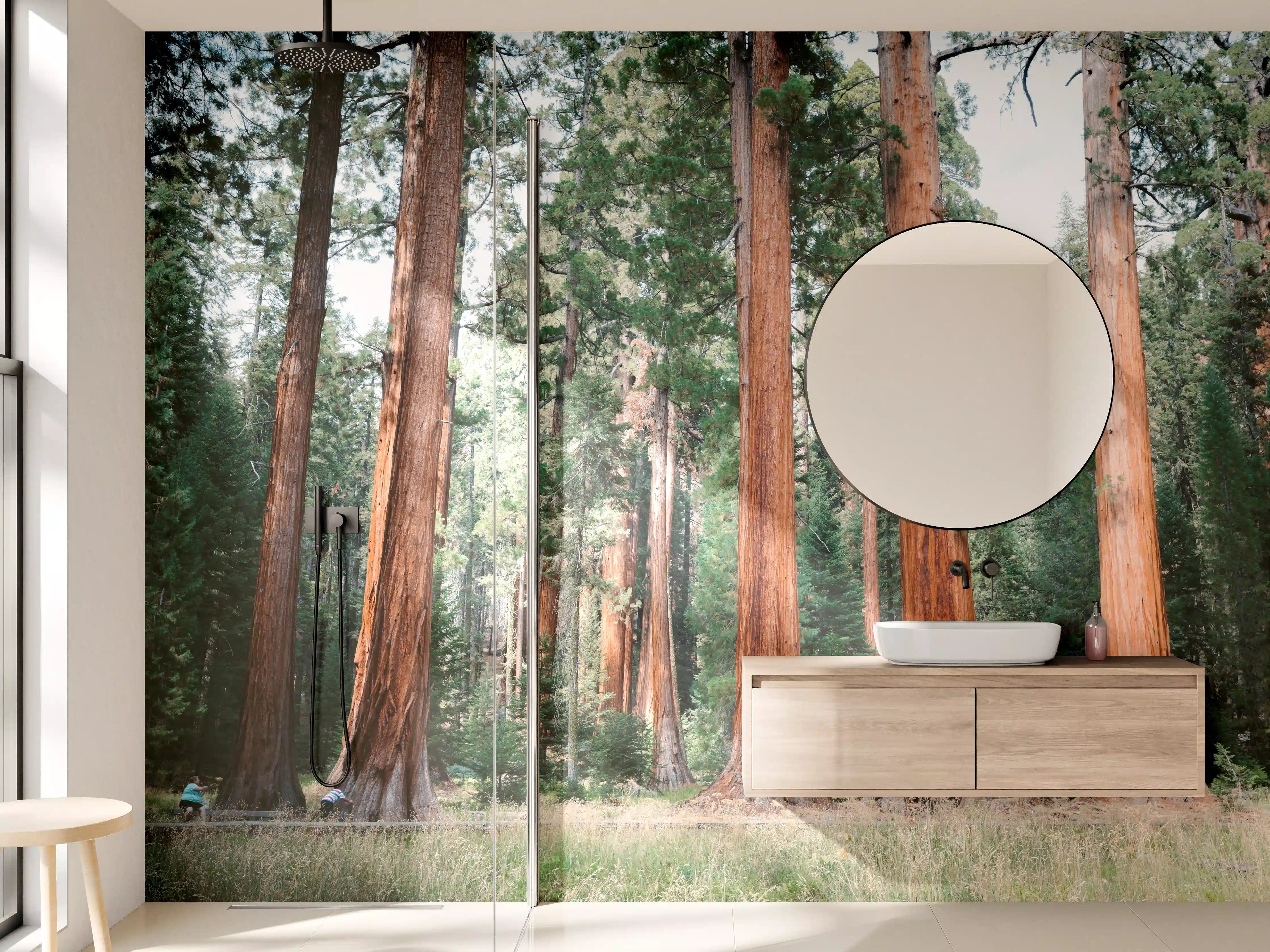 Wandverkleidung Bad - Riesenmammutbäume im Sequoia-Nationalpark