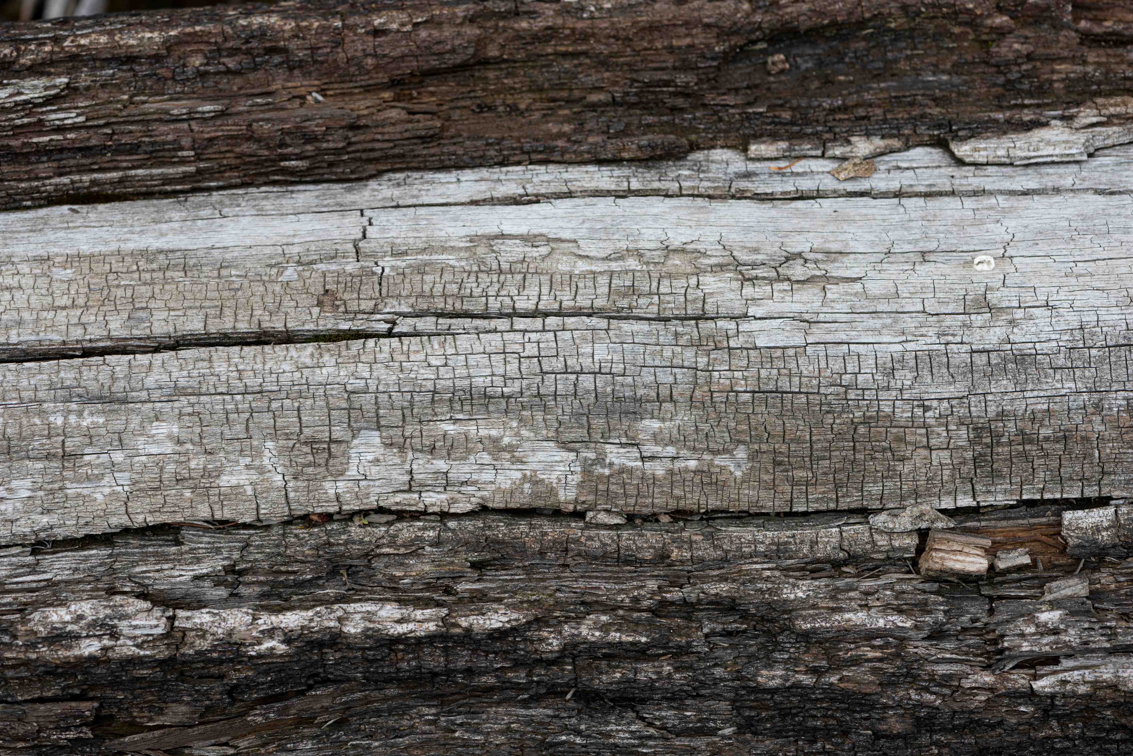 Wandverkleidung Bad-Rustikale Holzstruktur mit Patina