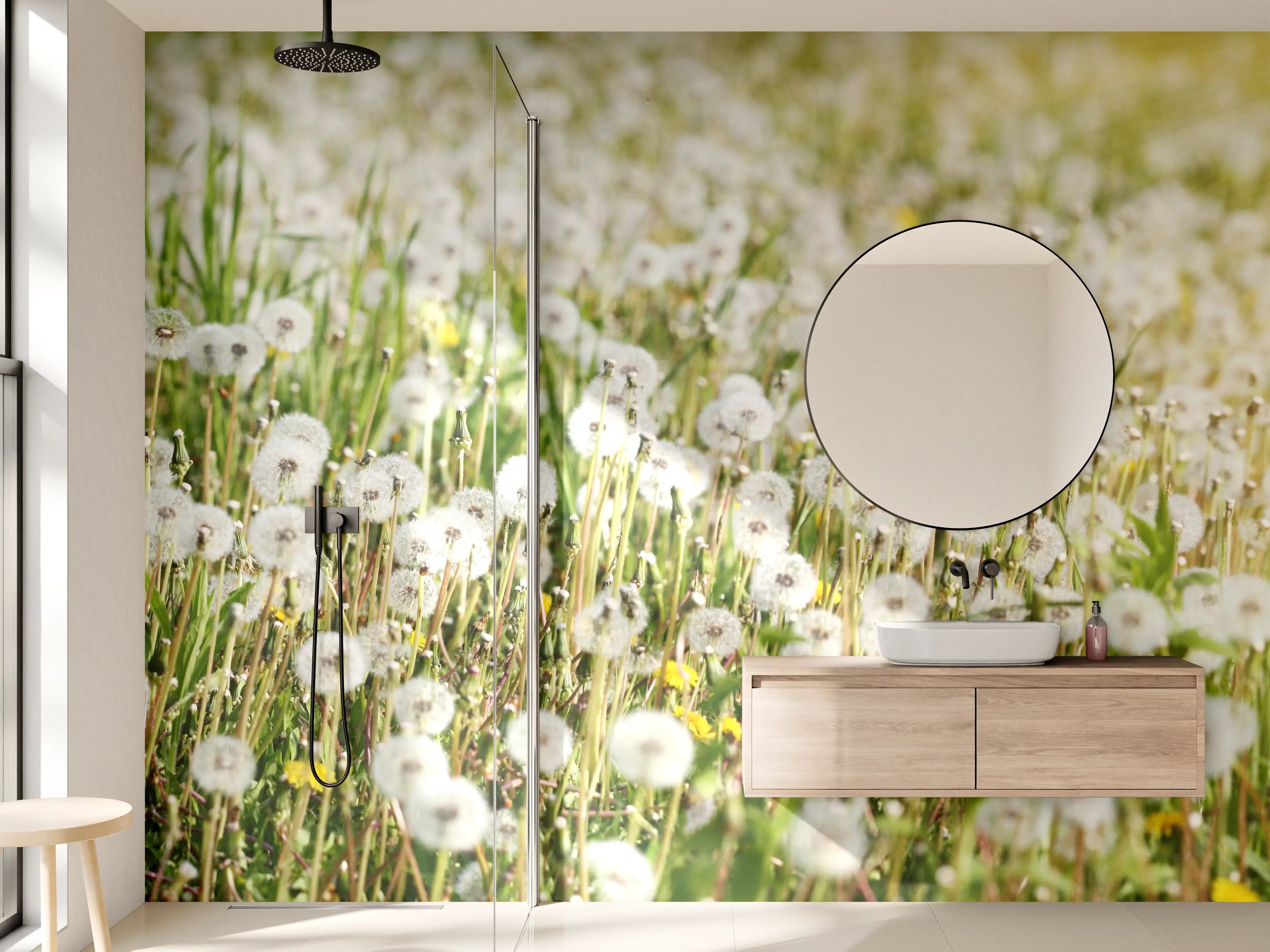 Wandverkleidung Bad - Sanfte Pusteblumenwiesen im Sonnenlicht