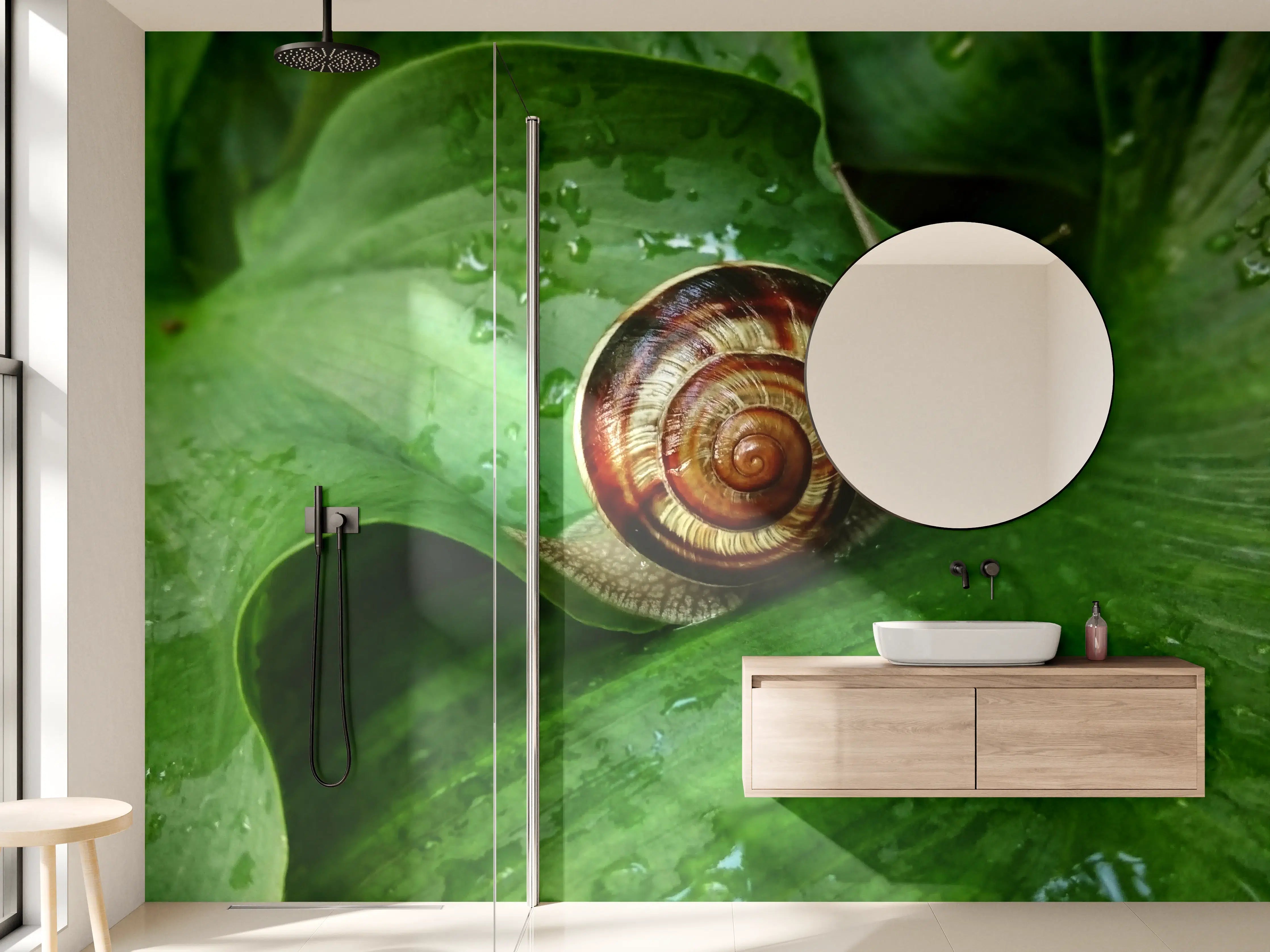 Wandverkleidung Bad - Schnecke auf einem nassen Blatt
