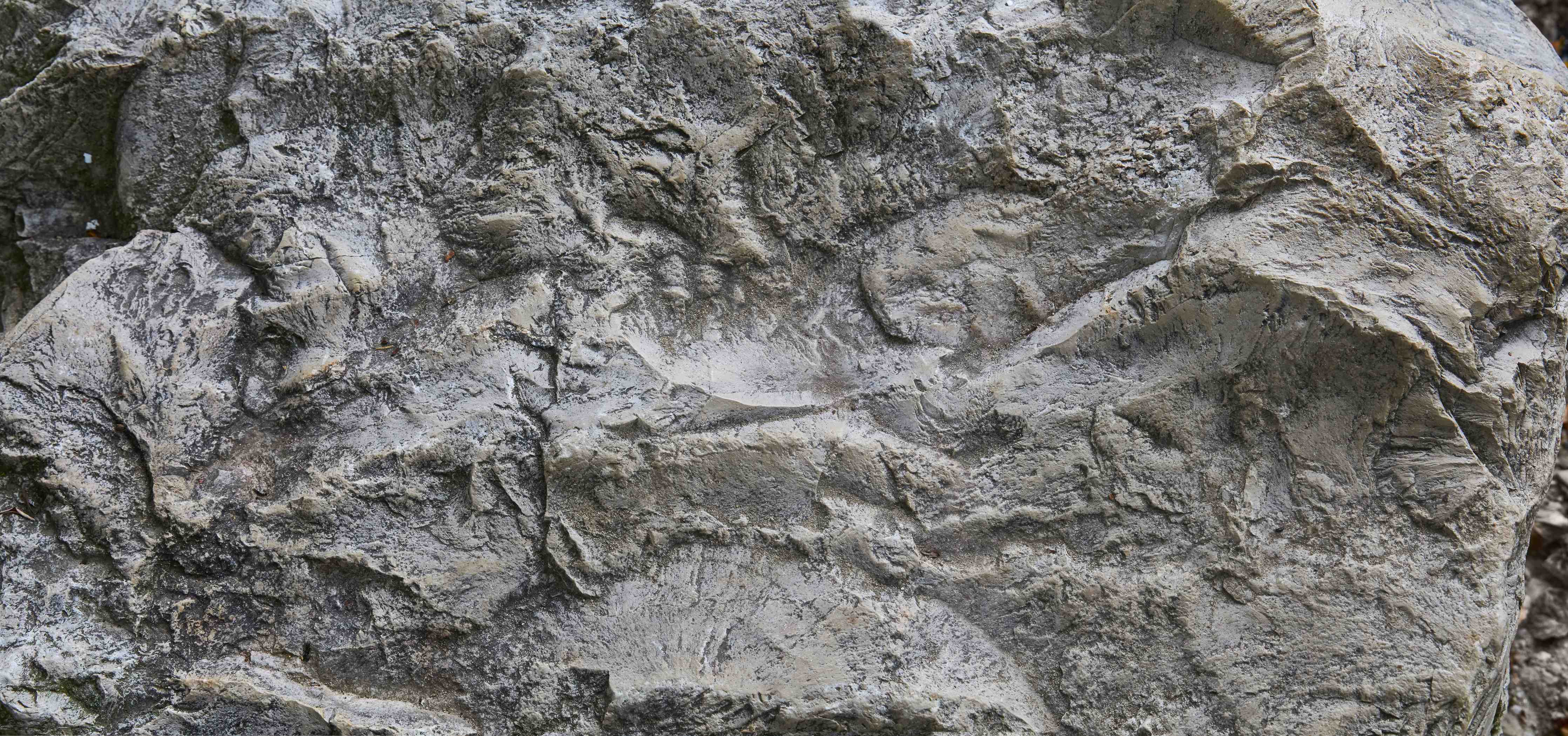 Wandverkleidung Bad-Schöne Felsstruktur - Granit