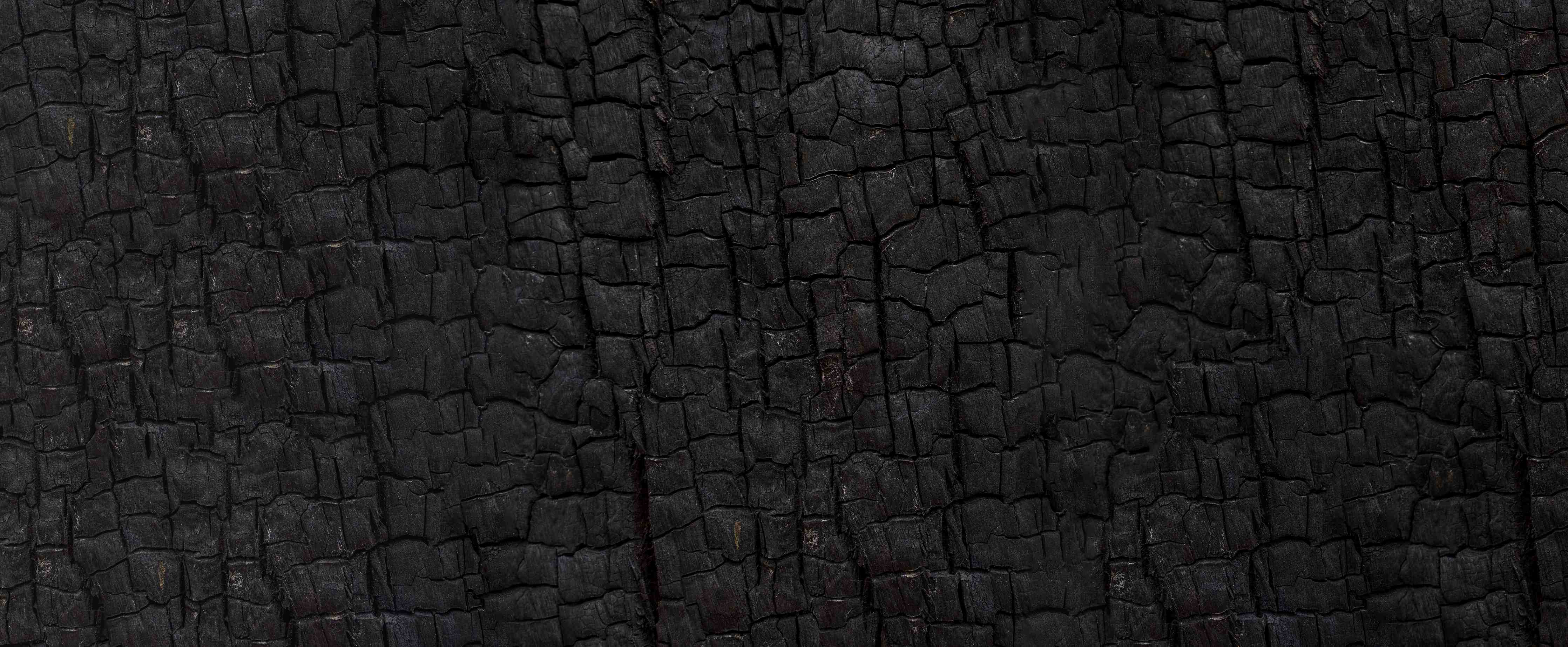 Wandverkleidung Bad-Schwarze, verbrennte Holzstruktur