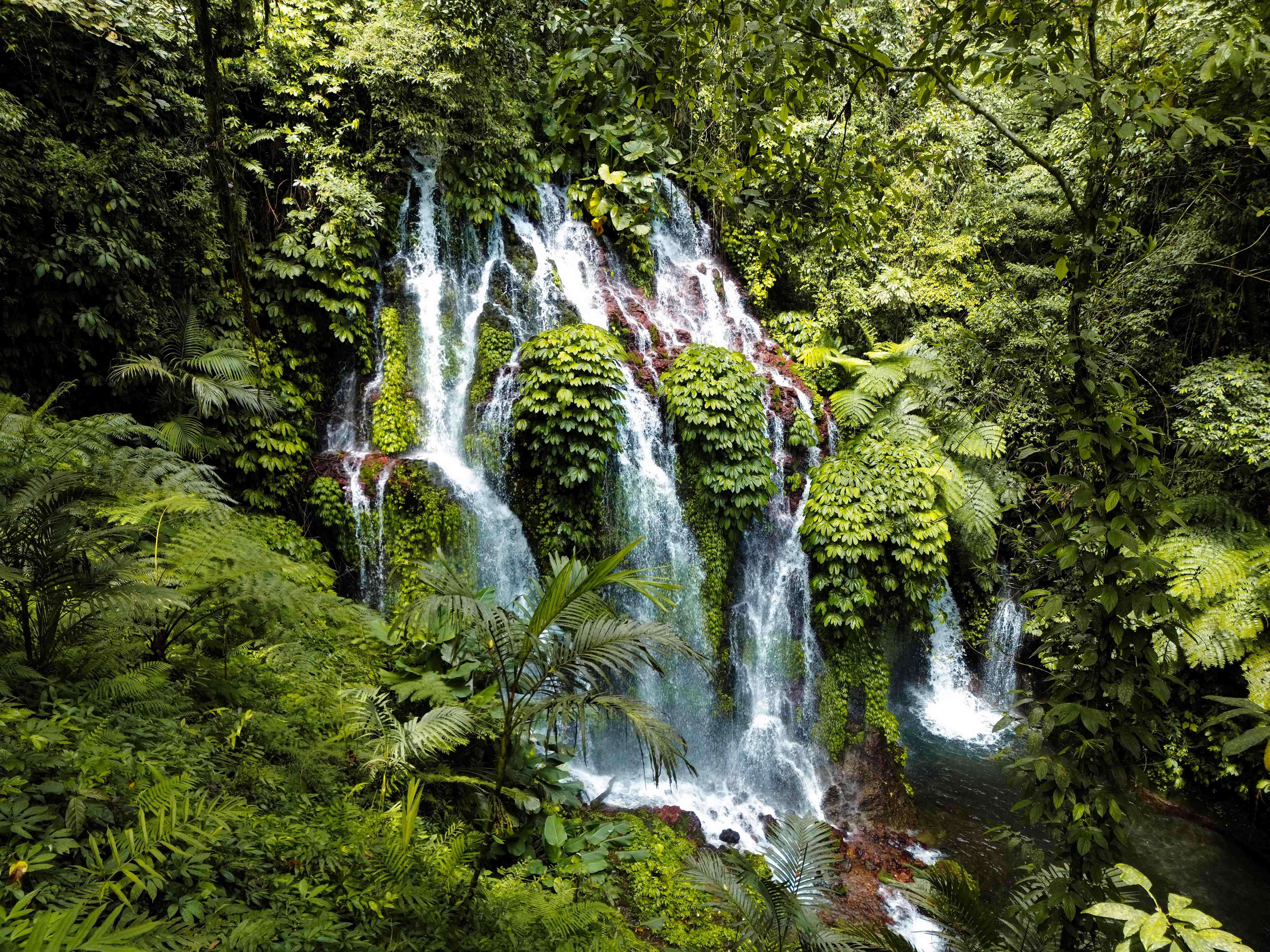 Wandverkleidung Bad-Silbriger Wasserfall im Dschungel