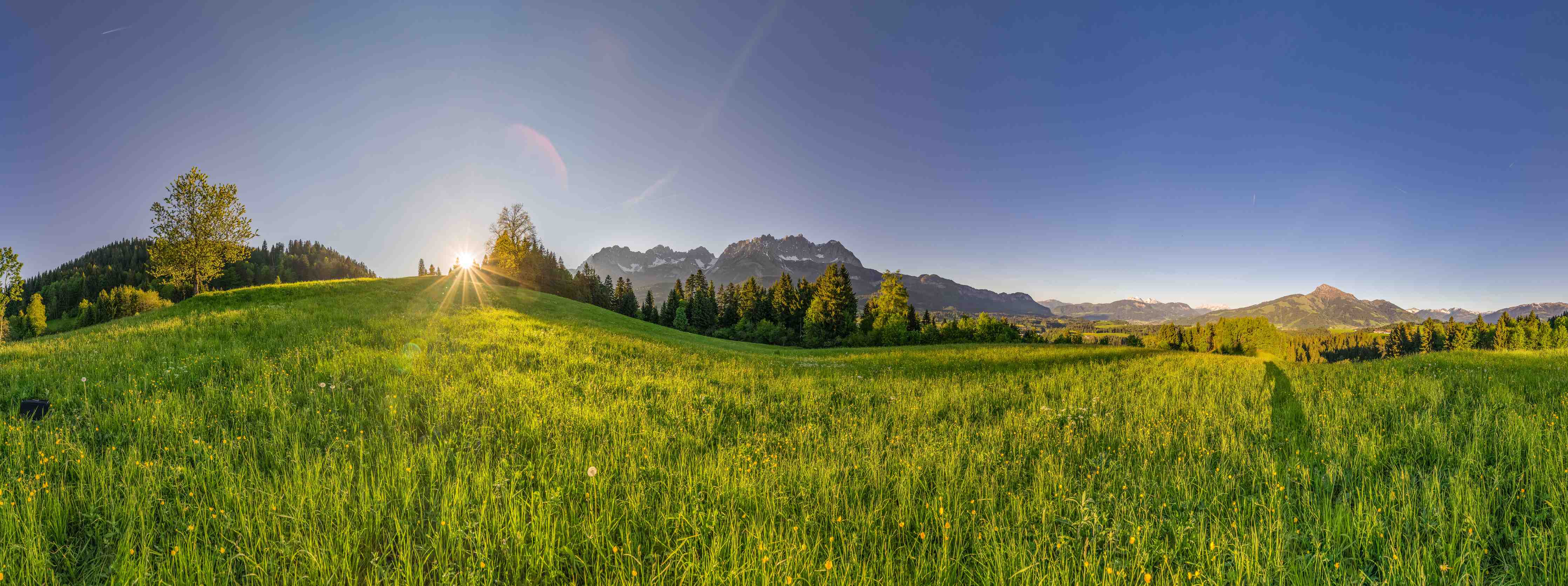 Wandverkleidung Bad-Sonnenaufgang über grüner Wiese