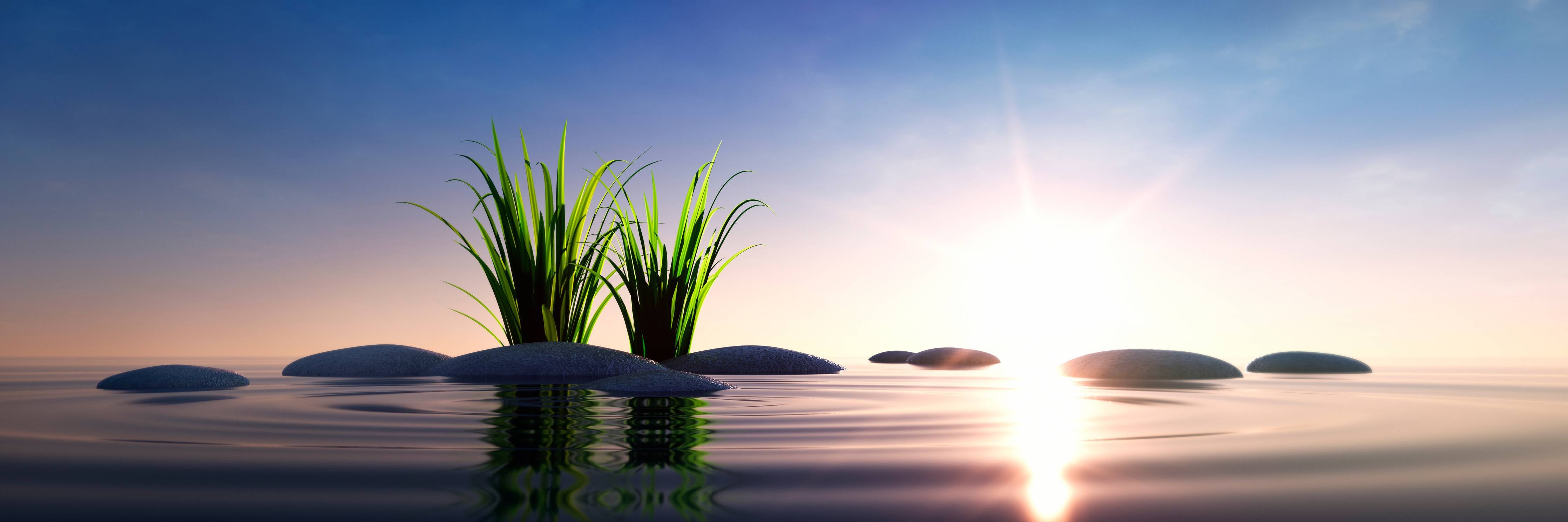 Wandverkleidung Bad-Sonnenaufgang über ruhigem Wasser mit Pflanzen