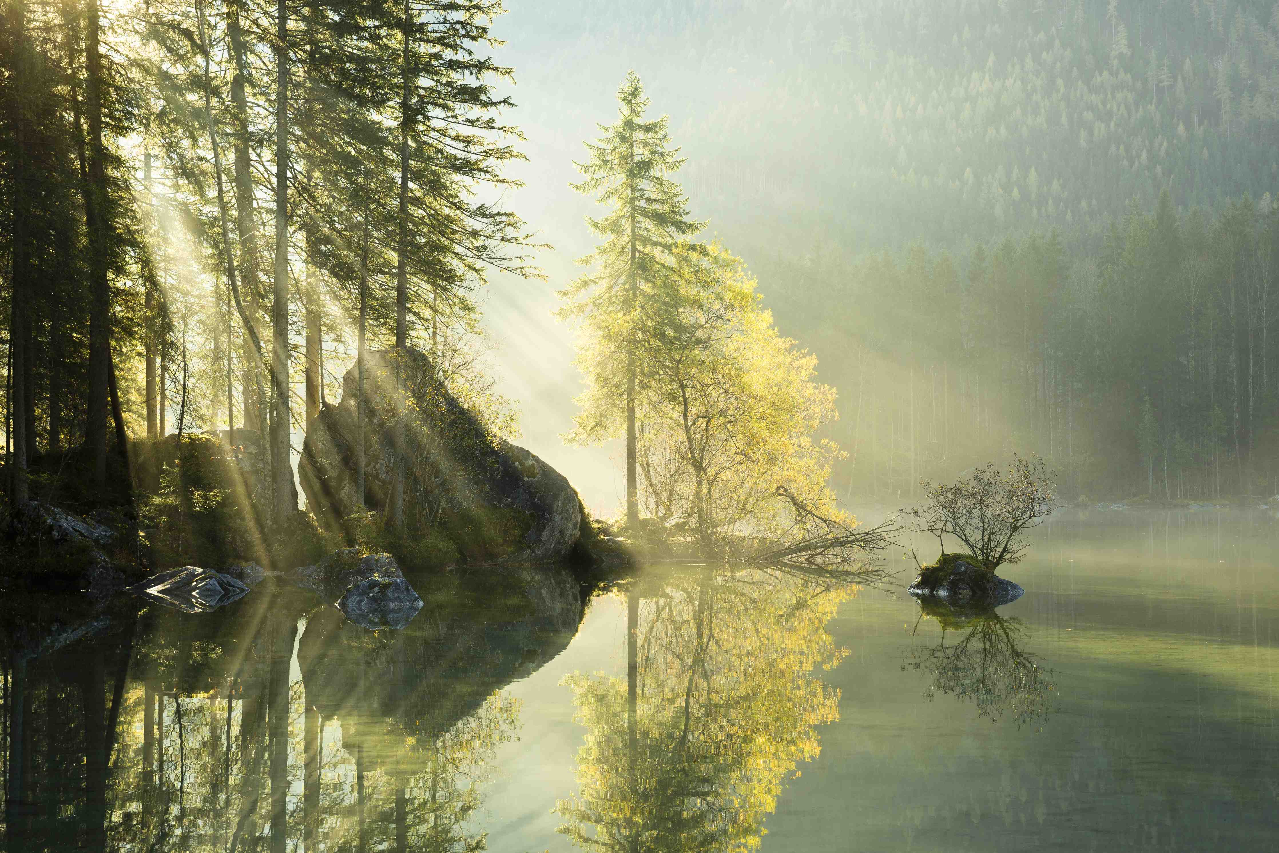 Wandverkleidung Bad-Sonnenstrahlen im See