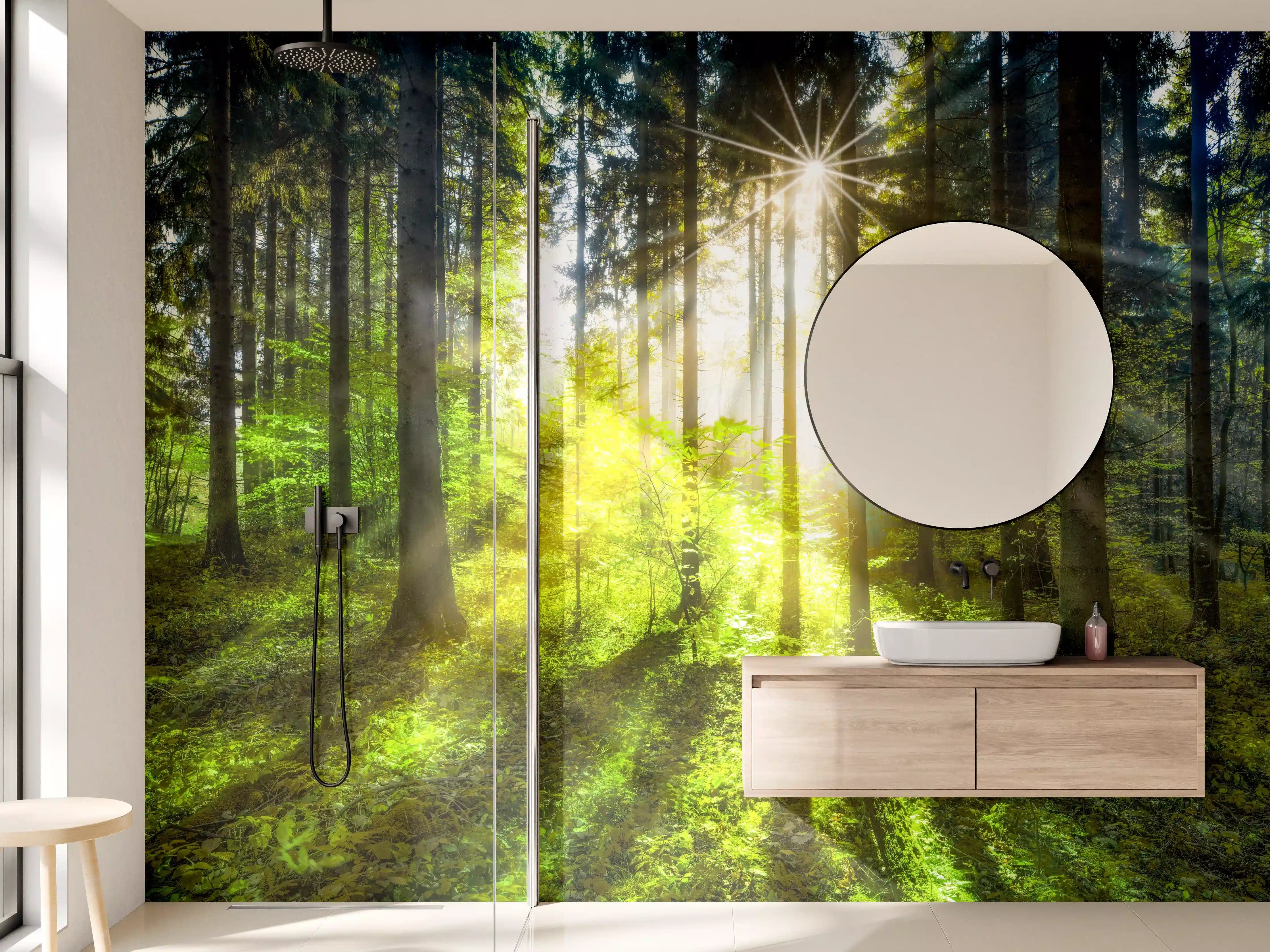 Wandverkleidung Bad - Sonnenstrahlen im lebendigem Wald 