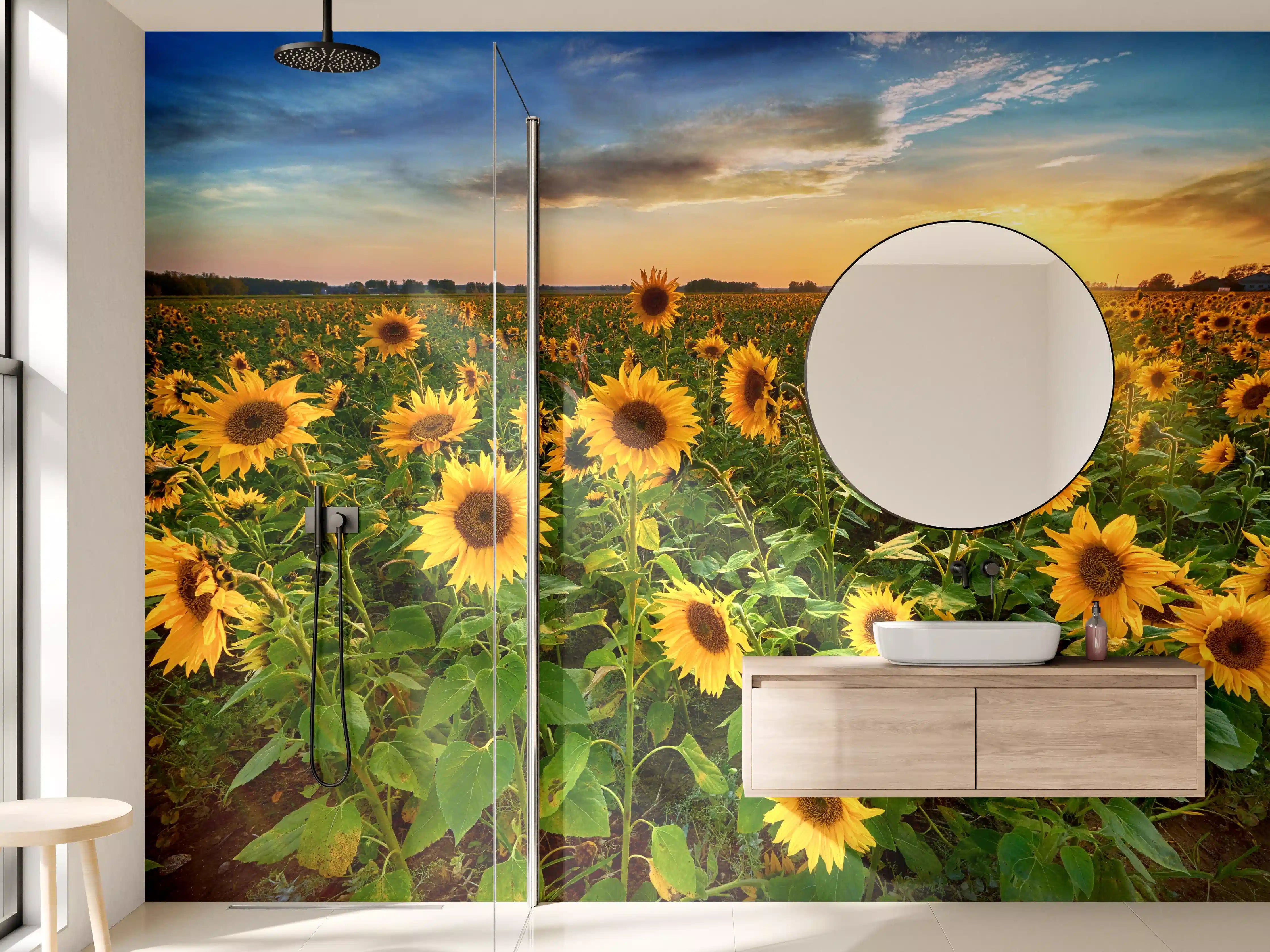 Wandverkleidung Bad - Sonnenuntergang über Sonnenblumenfeld in Hessen