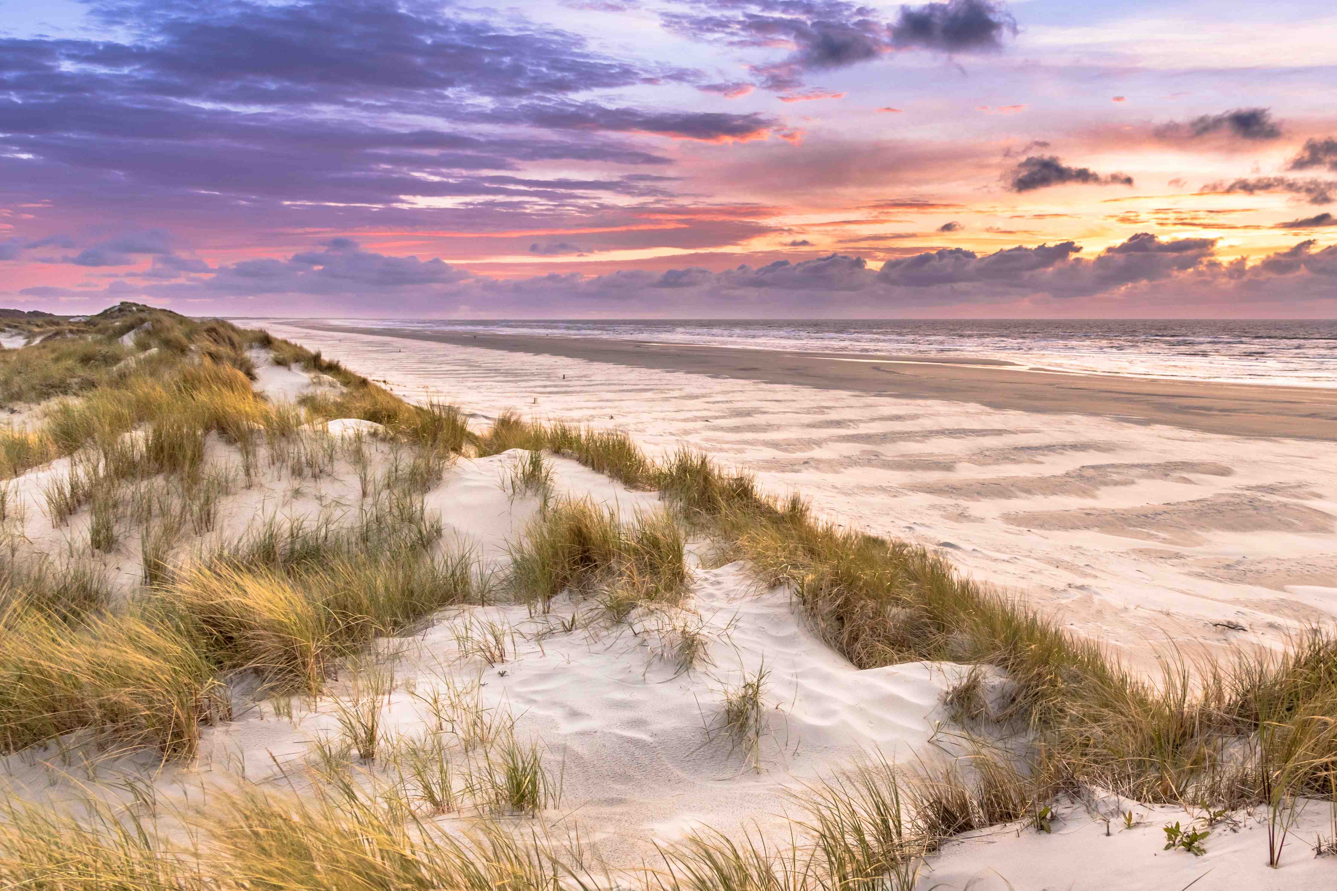 Wandverkleidung Bad-Strand bei Sonnenuntergang mit Dünen und Himmel in Pink und Blau